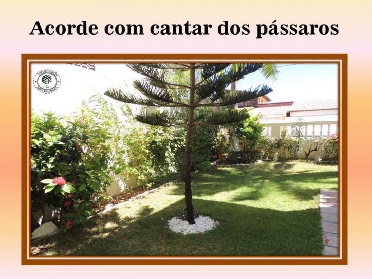 Casa, 4 quartos, 490 m² - Foto 10