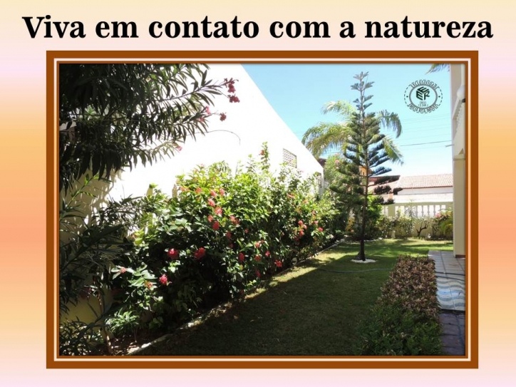 Casa, 4 quartos, 490 m² - Foto 11
