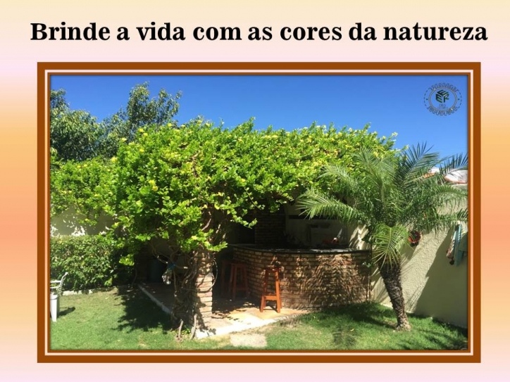Casa, 4 quartos, 490 m² - Foto 5