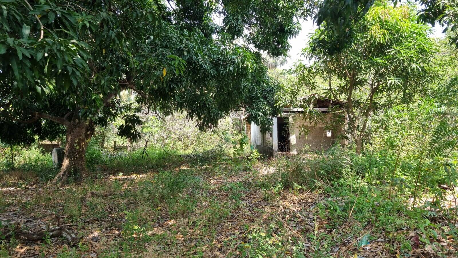 Terreno, 4650 m² - Foto 8