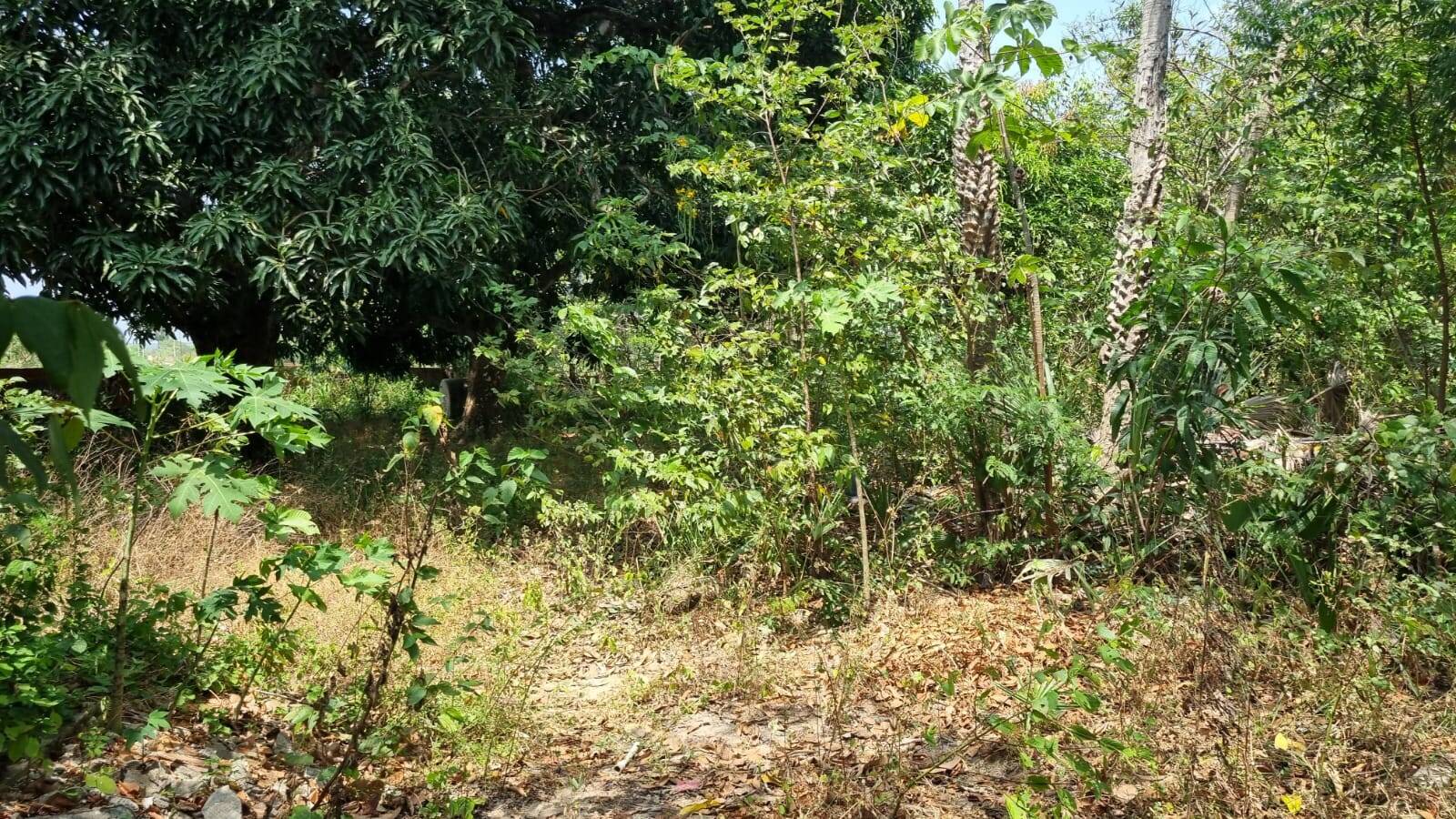 Terreno, 4650 m² - Foto 9