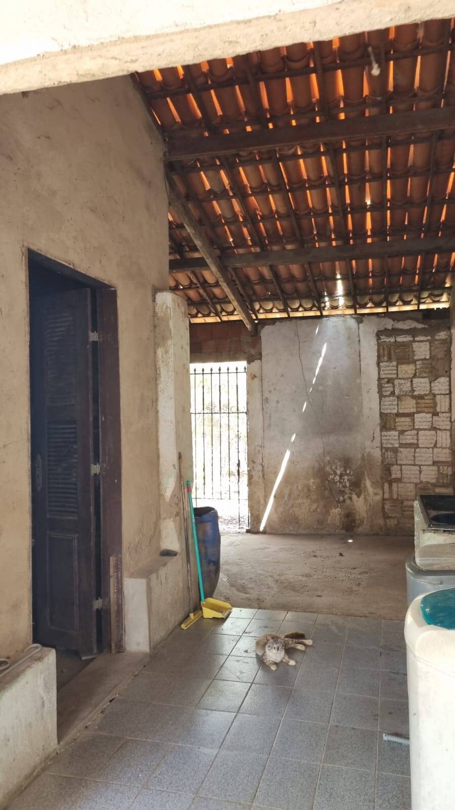 Terreno, 4650 m² - Foto 11