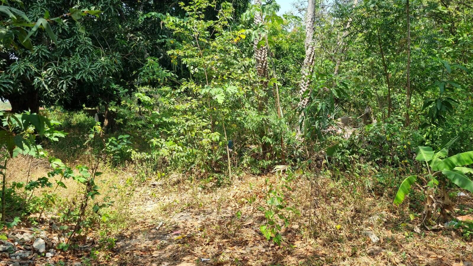 Terreno, 4650 m² - Foto 13