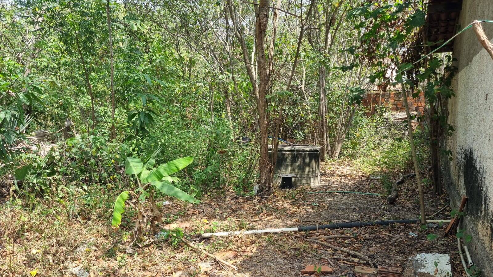 Terreno, 4650 m² - Foto 14