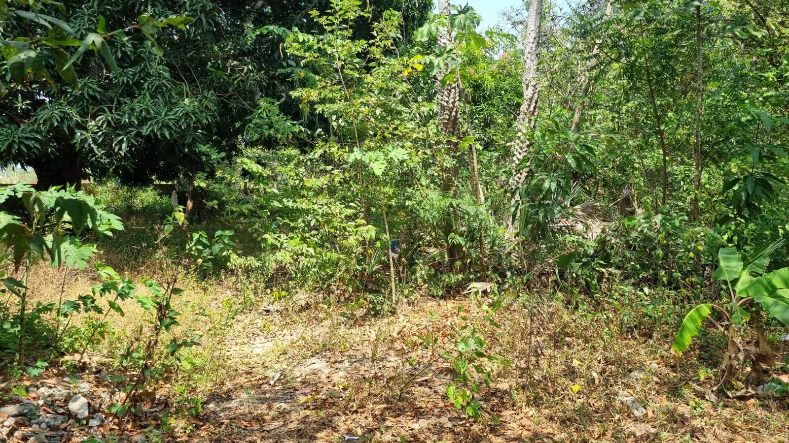 Terreno, 4650 m² - Foto 19