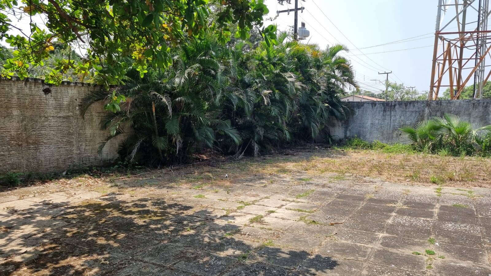 Terreno, 4650 m² - Foto 17