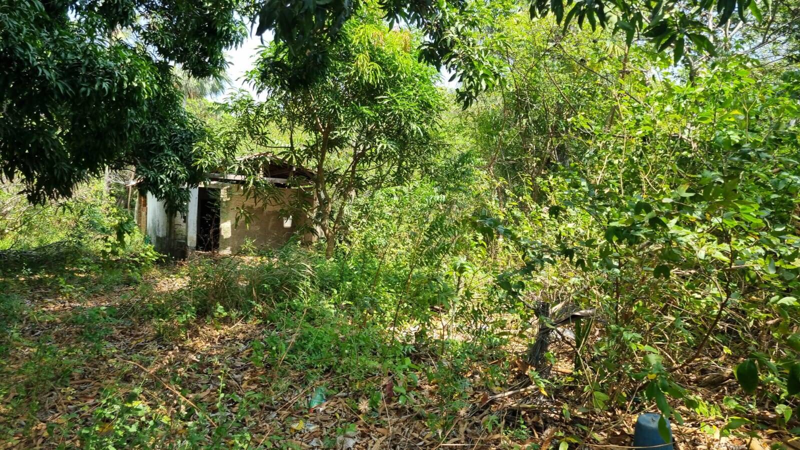 Terreno, 4650 m² - Foto 20