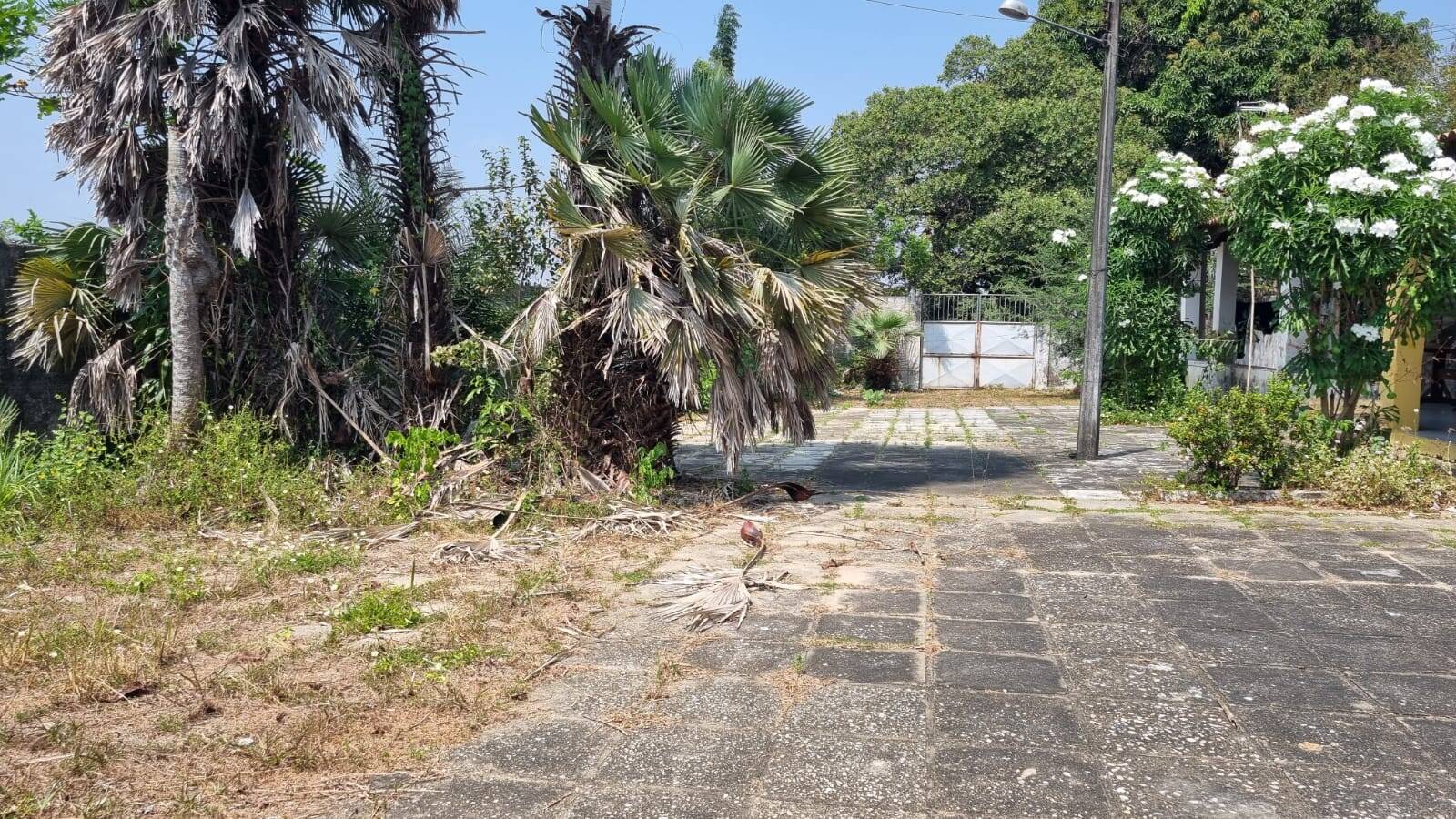 Terreno, 4650 m² - Foto 25