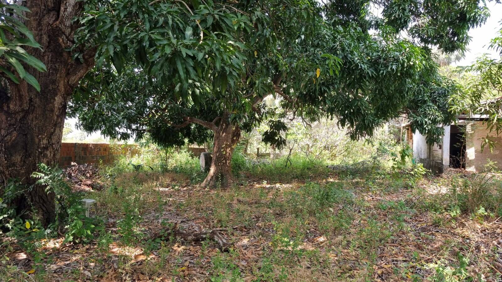 Terreno, 4650 m² - Foto 22