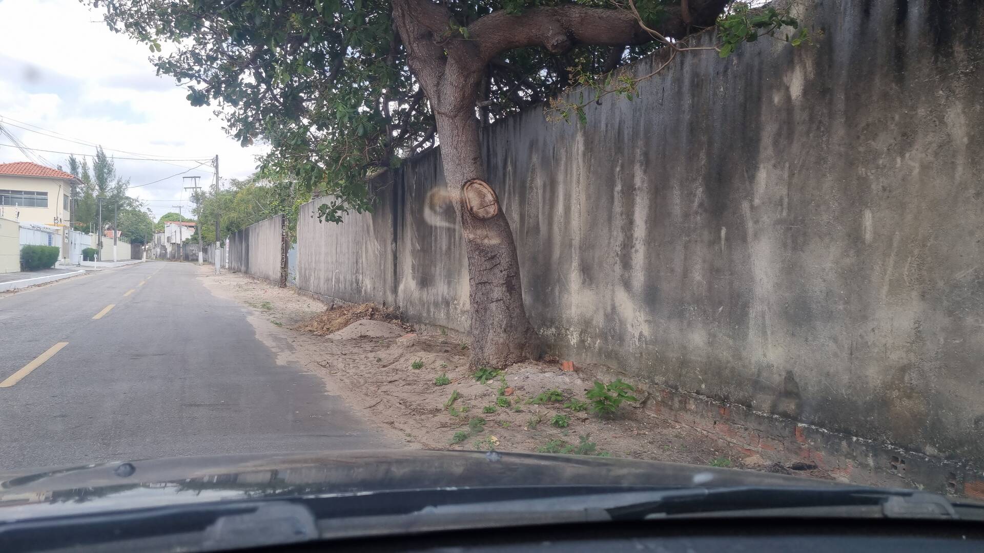 Terreno, 8567 m² - Foto 6