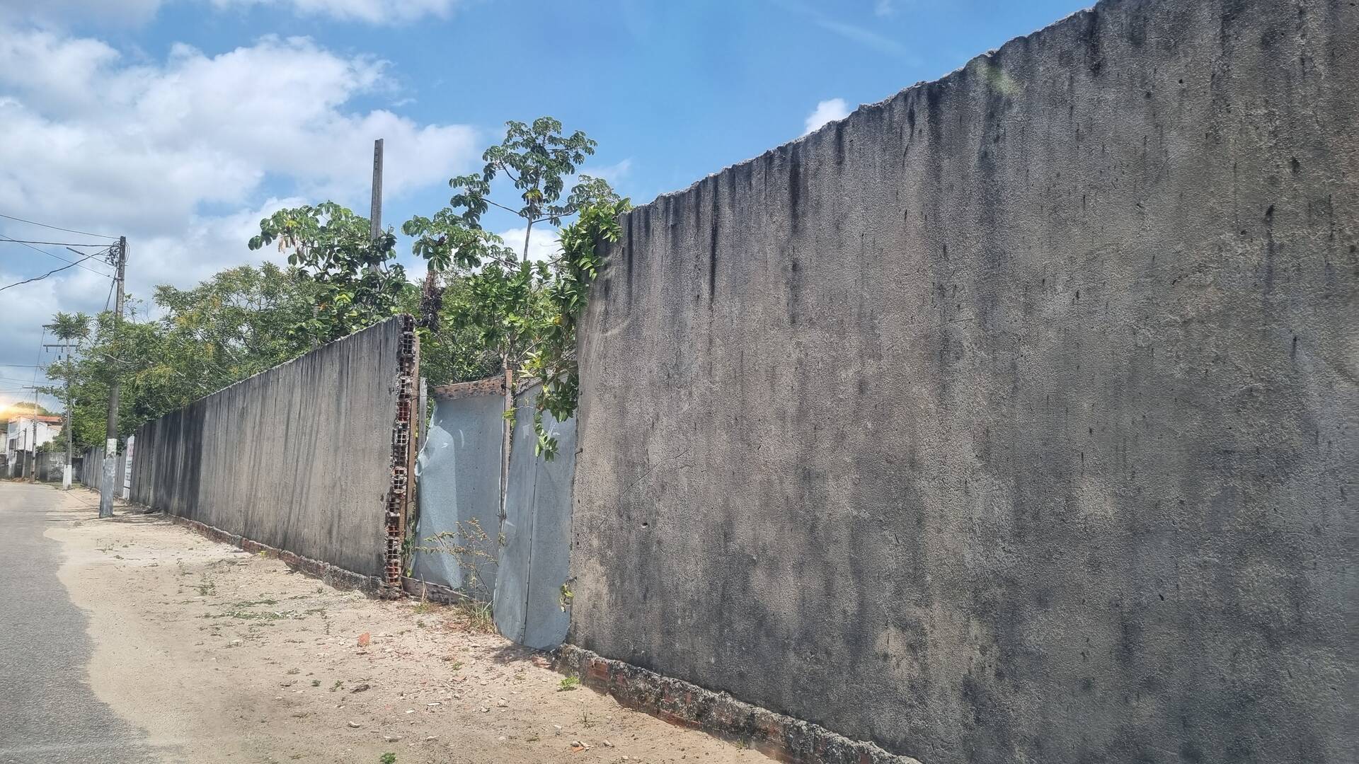 Terreno, 8567 m² - Foto 7