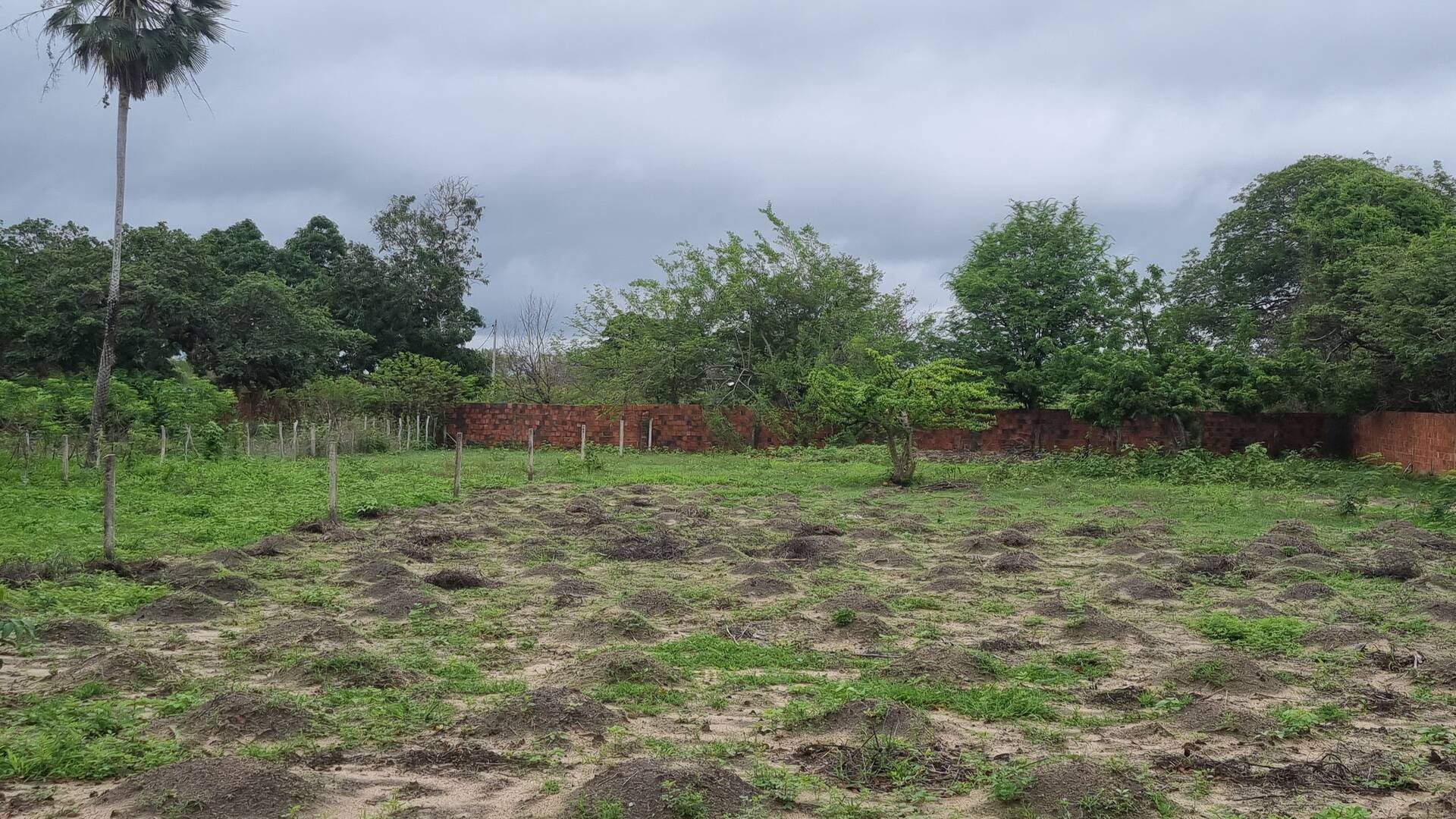 Terreno, 2 hectares - Foto 1