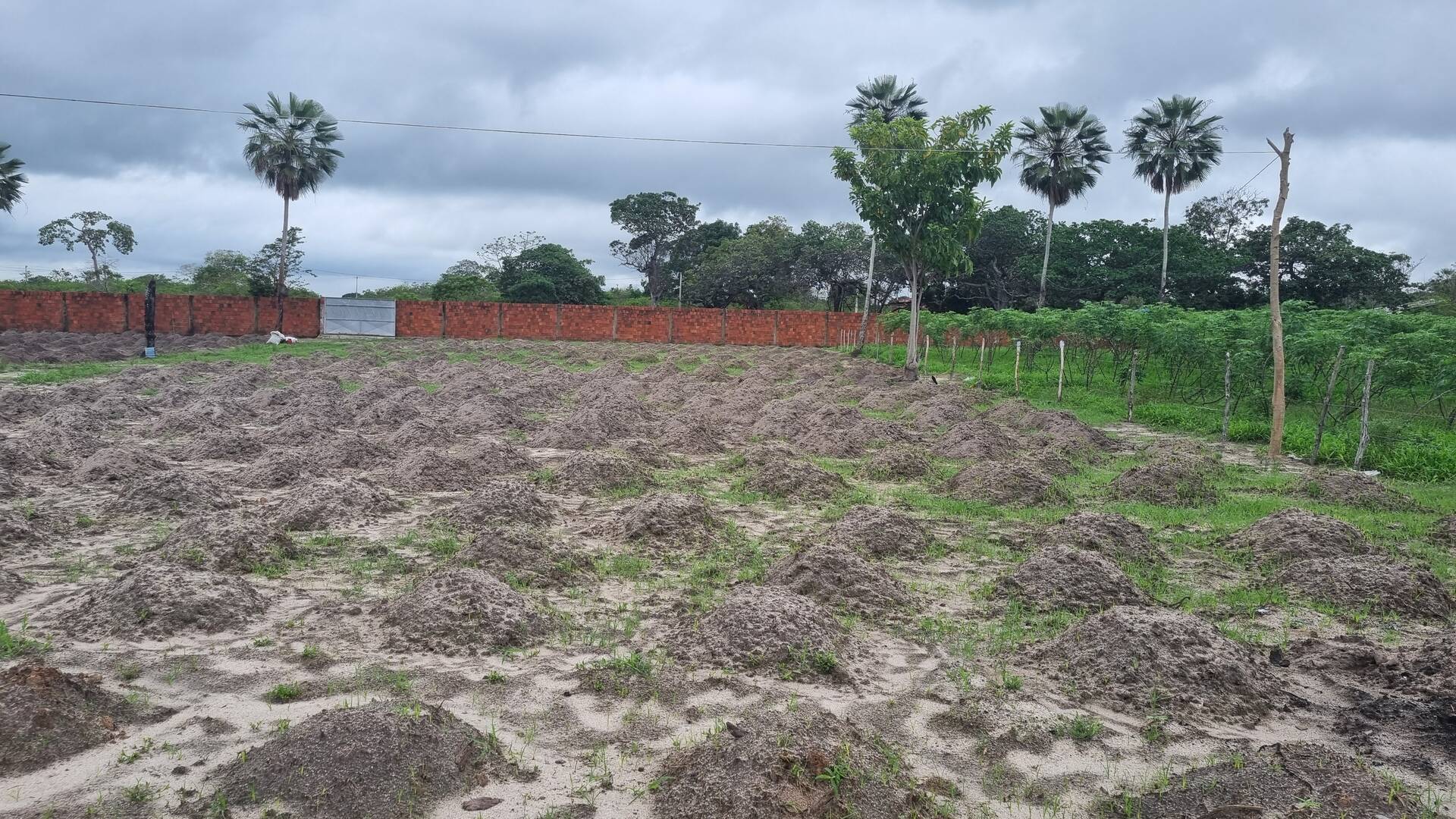 Terreno, 2 hectares - Foto 12