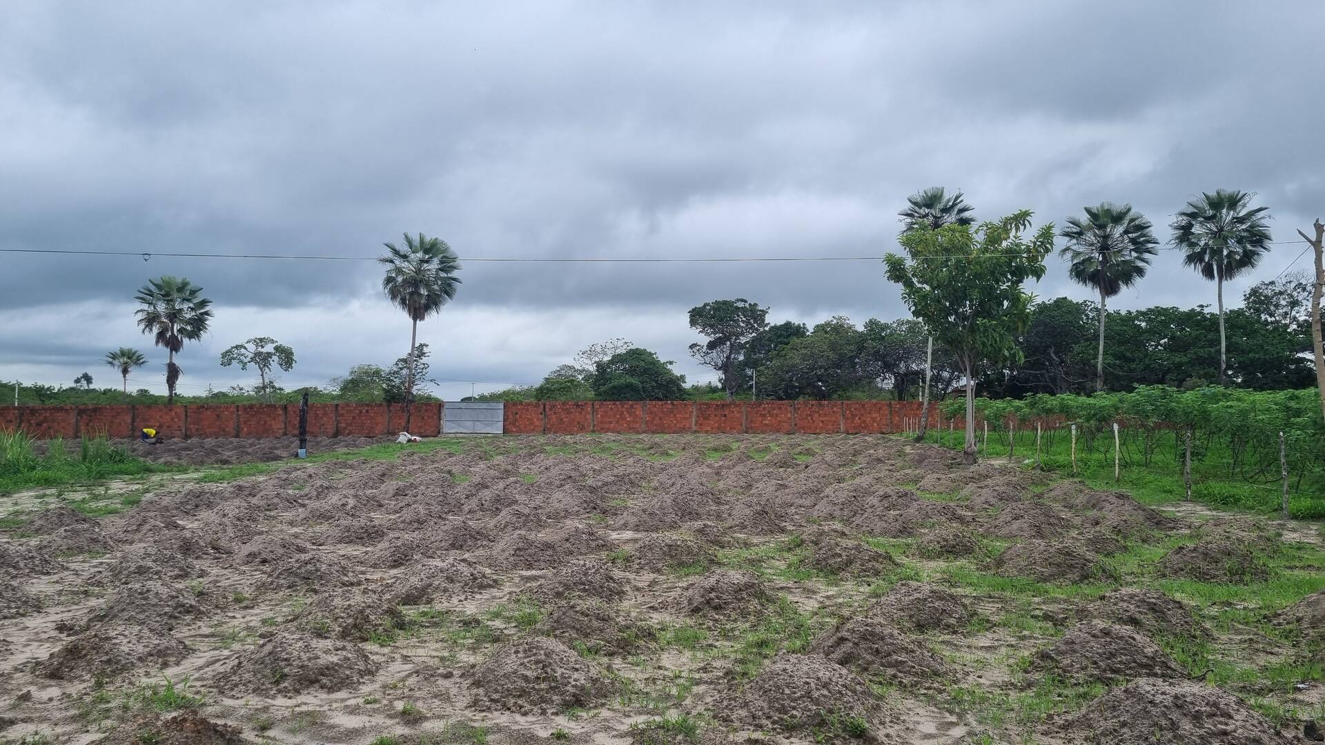 Terreno, 2 hectares - Foto 15