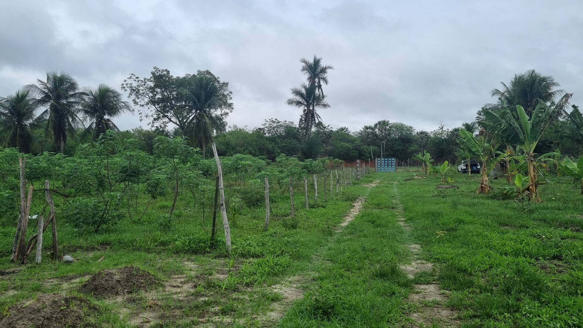 Terreno, 2 hectares - Foto 18