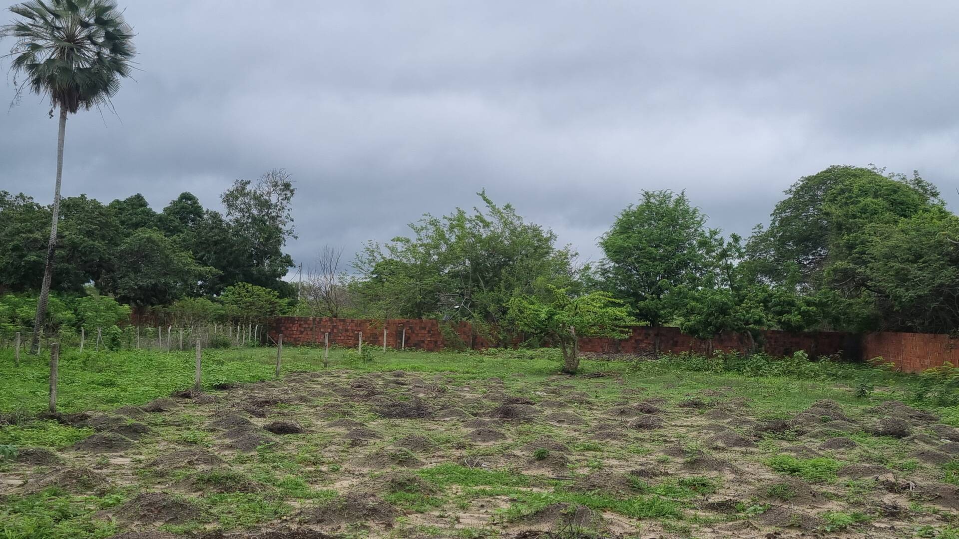 Terreno, 2 hectares - Foto 3