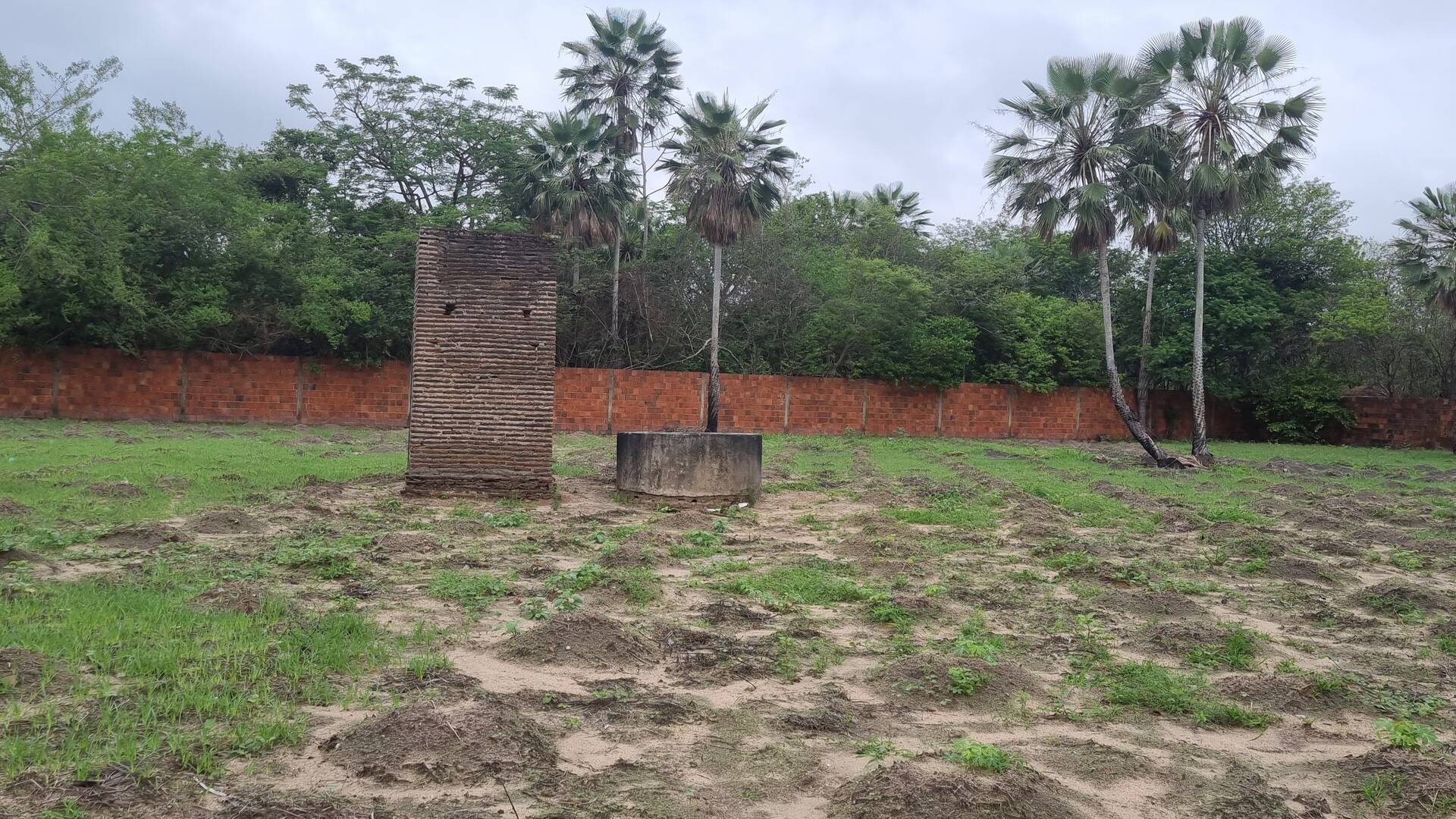 Terreno, 2 hectares - Foto 9