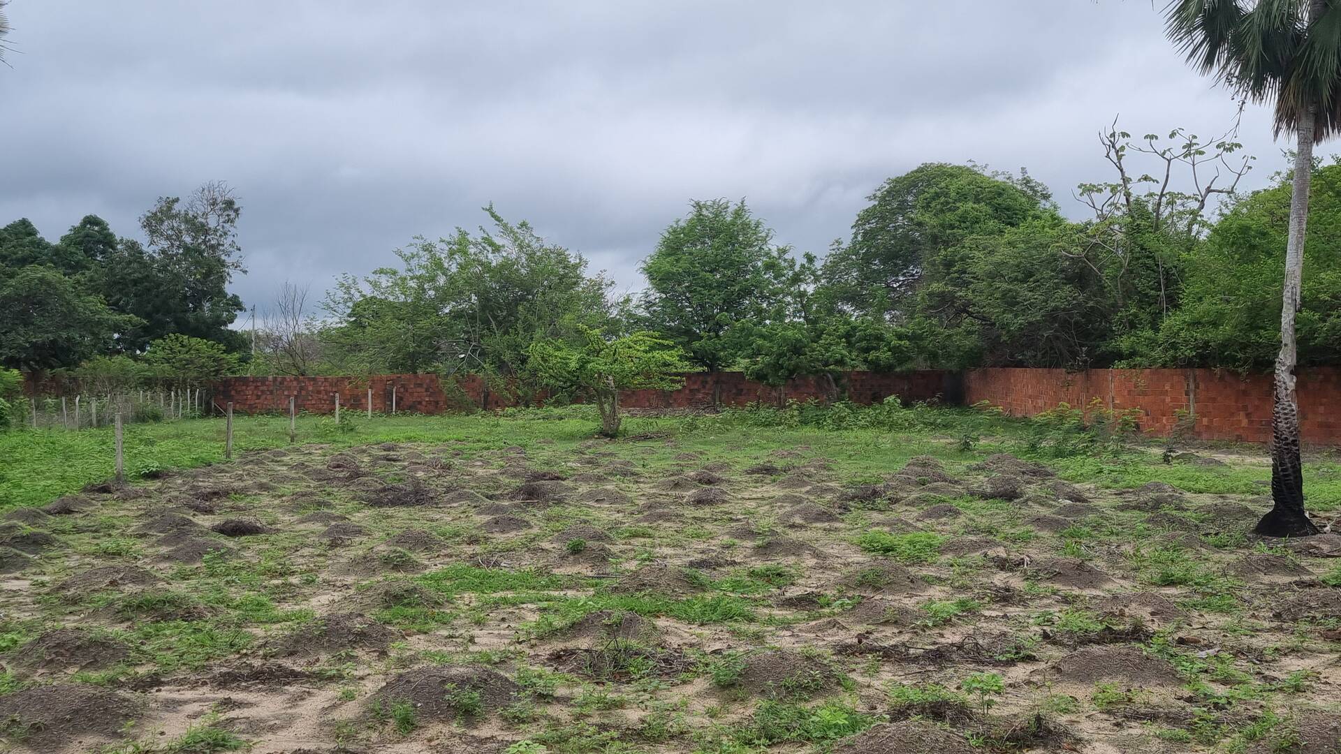 Terreno, 2 hectares - Foto 22