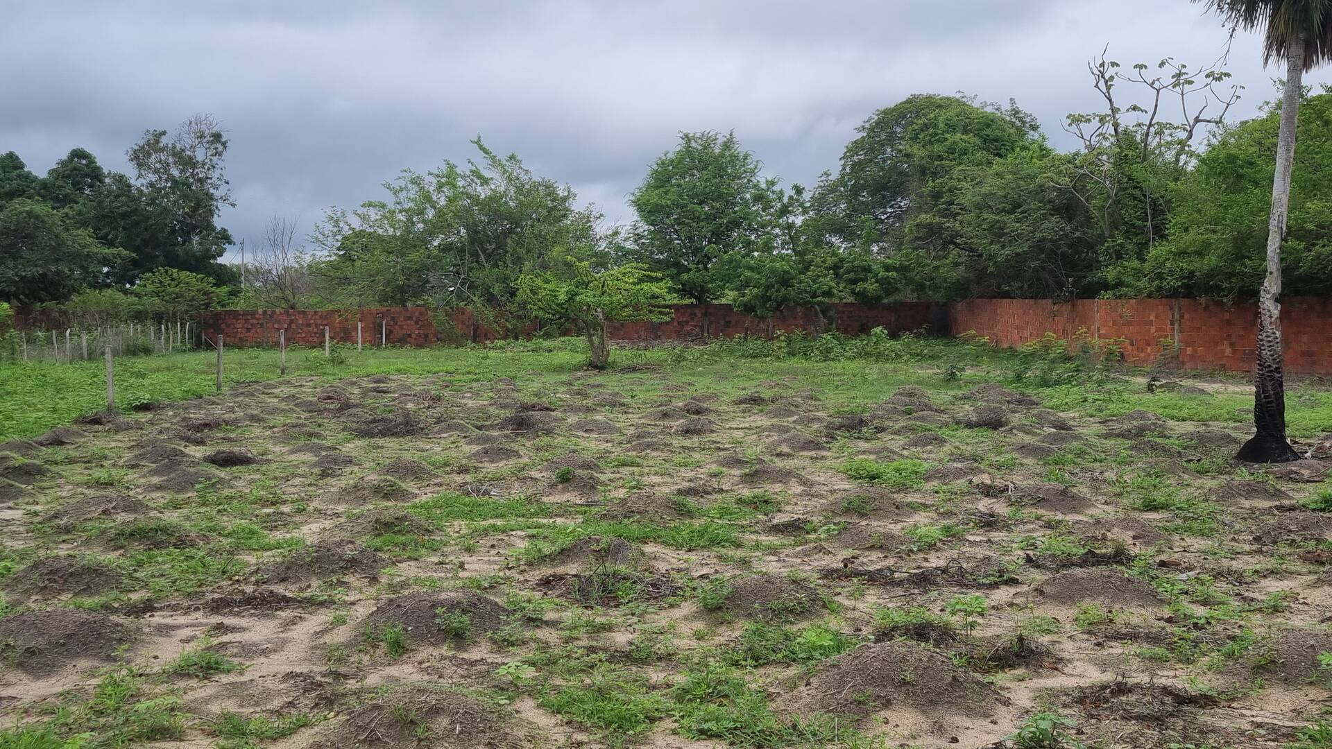 Terreno, 2 hectares - Foto 23