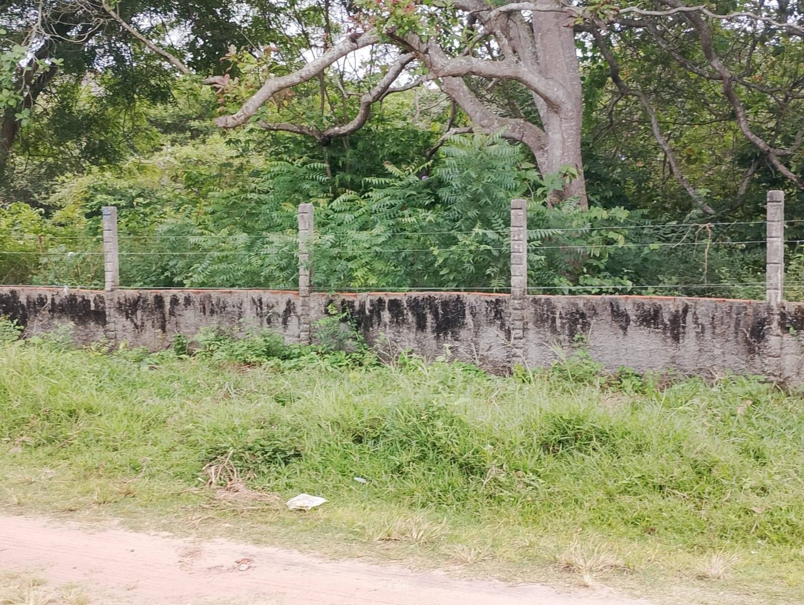 Terreno, 2880 m² - Foto 6