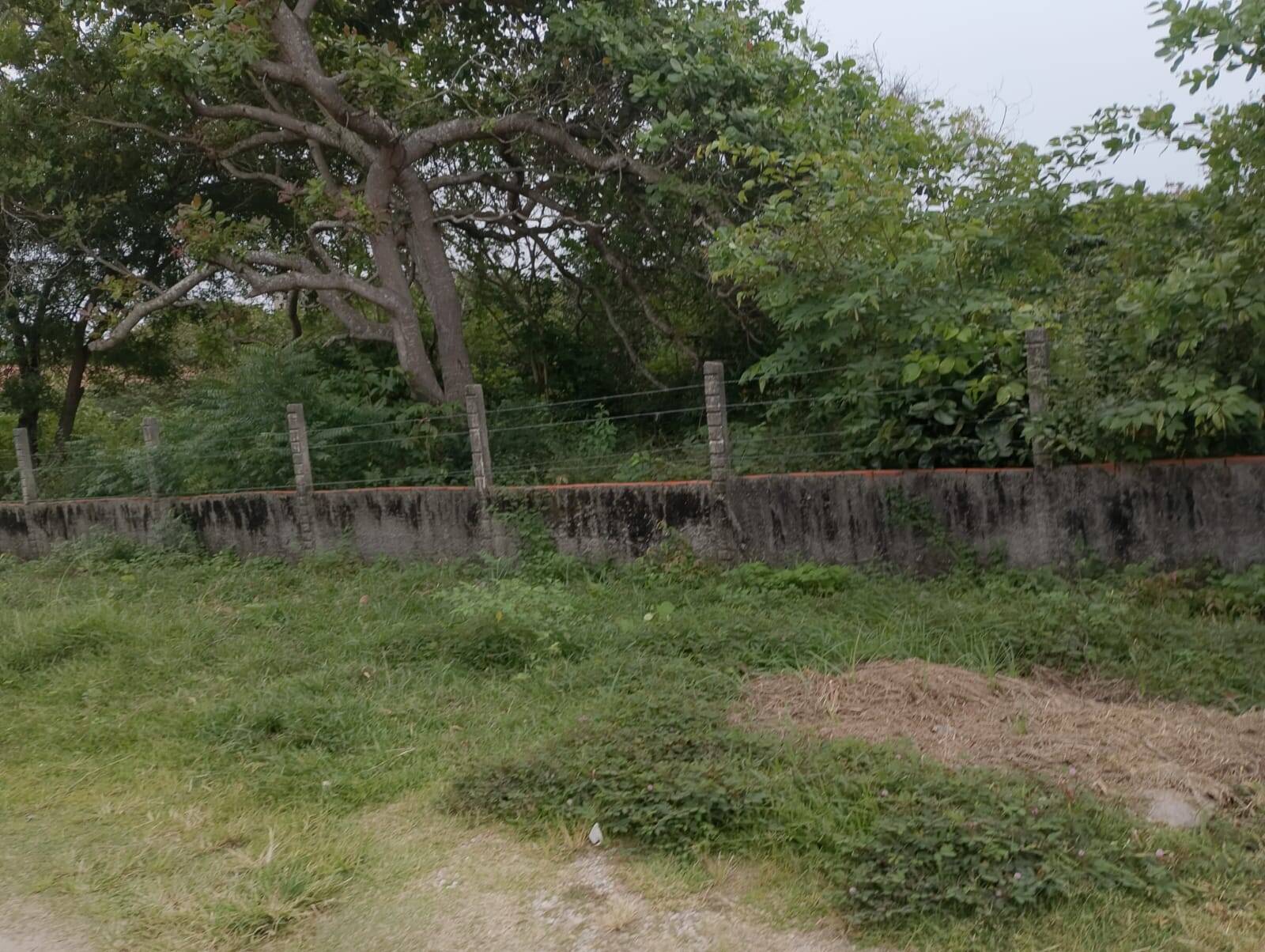 Terreno, 2880 m² - Foto 9