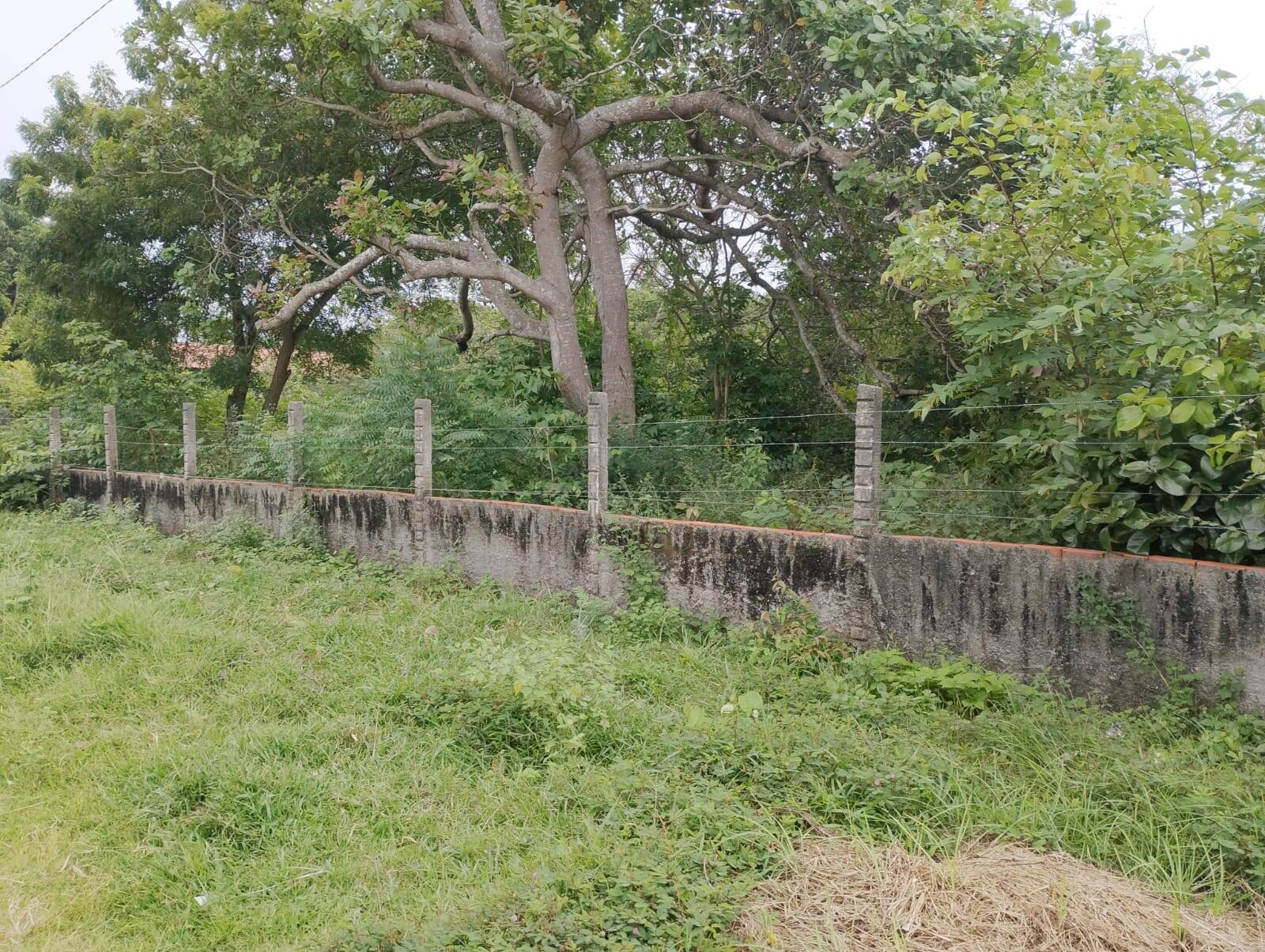 Terreno, 2880 m² - Foto 5