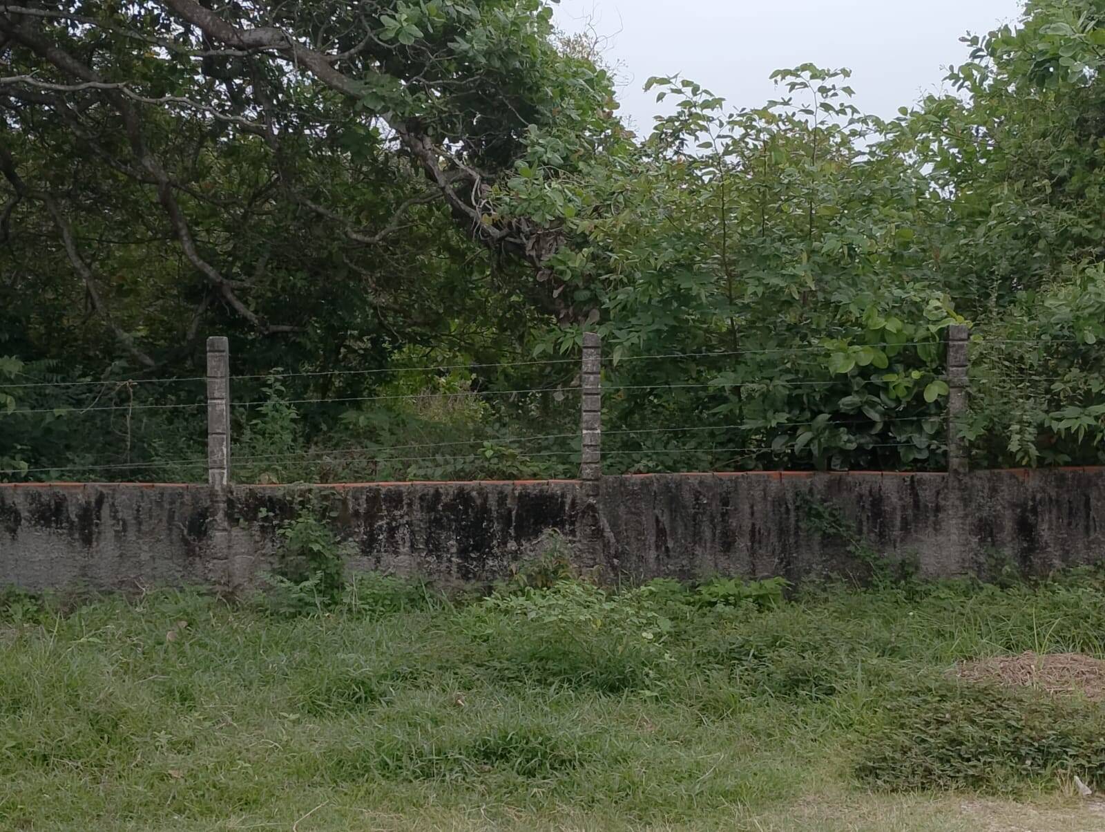 Terreno, 2880 m² - Foto 13