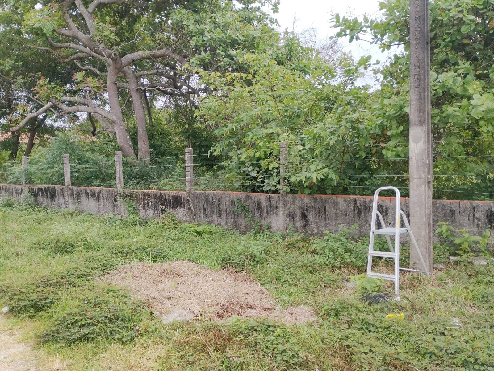 Terreno, 2880 m² - Foto 4