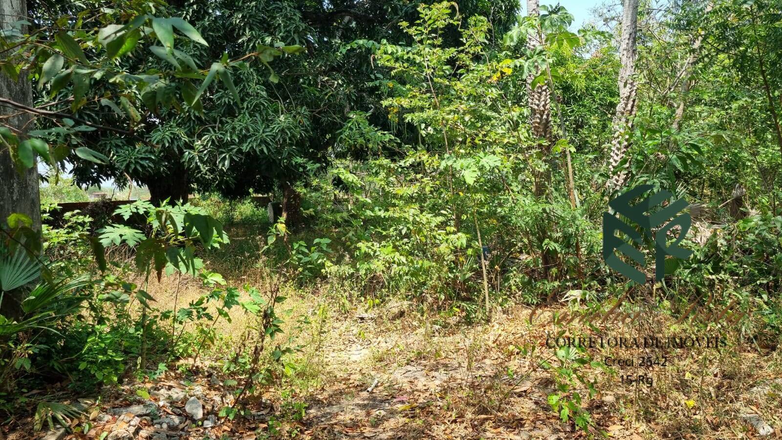 Terreno, 2 hectares - Foto 26