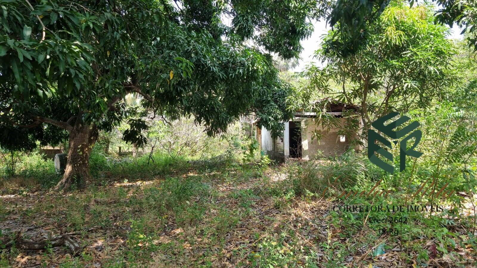 Terreno, 2 hectares - Foto 27