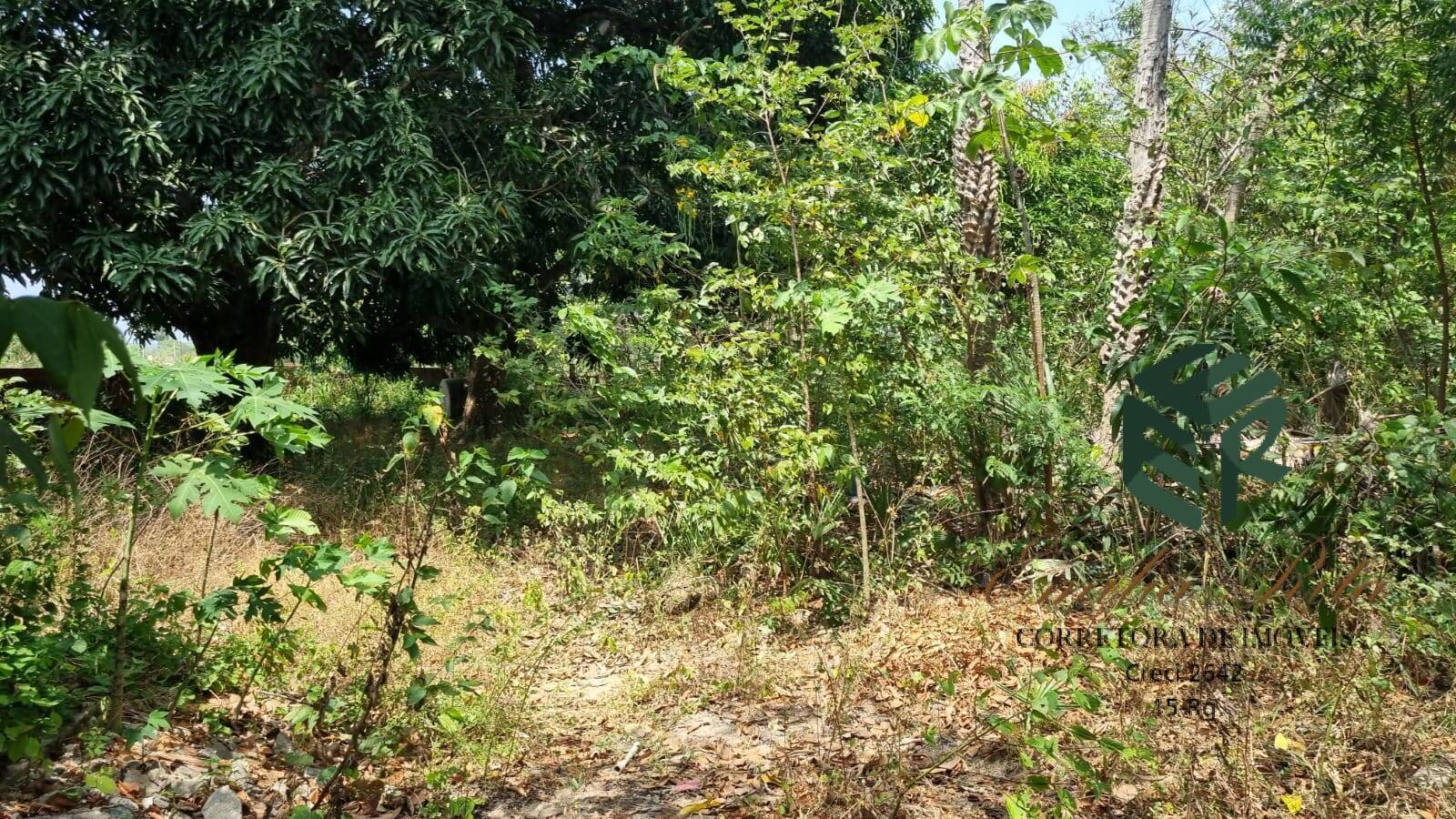 Terreno, 2 hectares - Foto 29