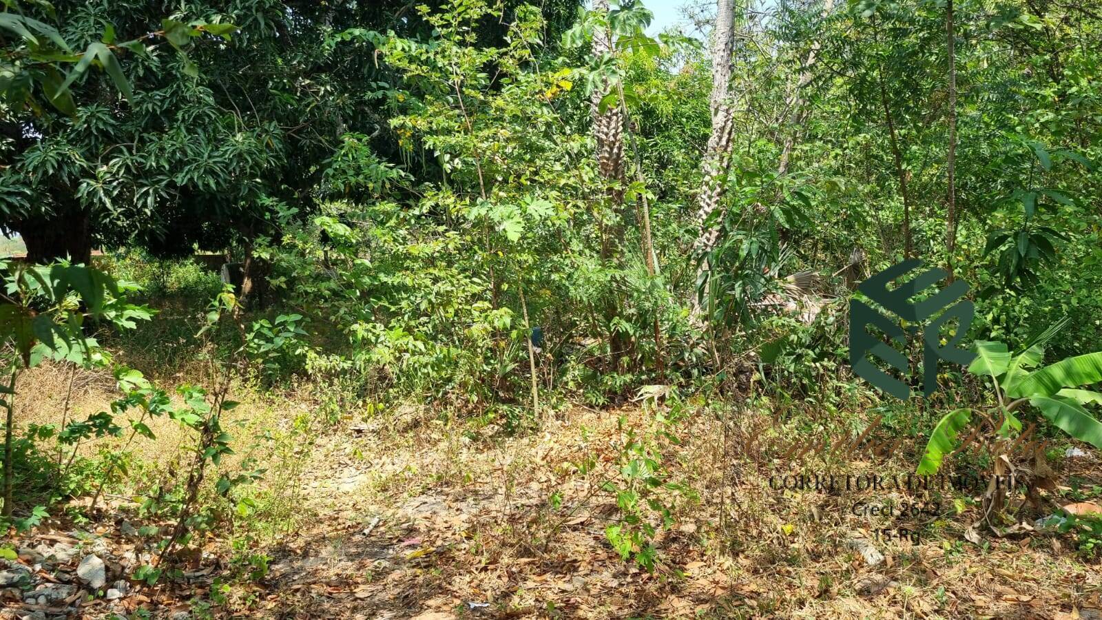 Terreno, 2 hectares - Foto 31