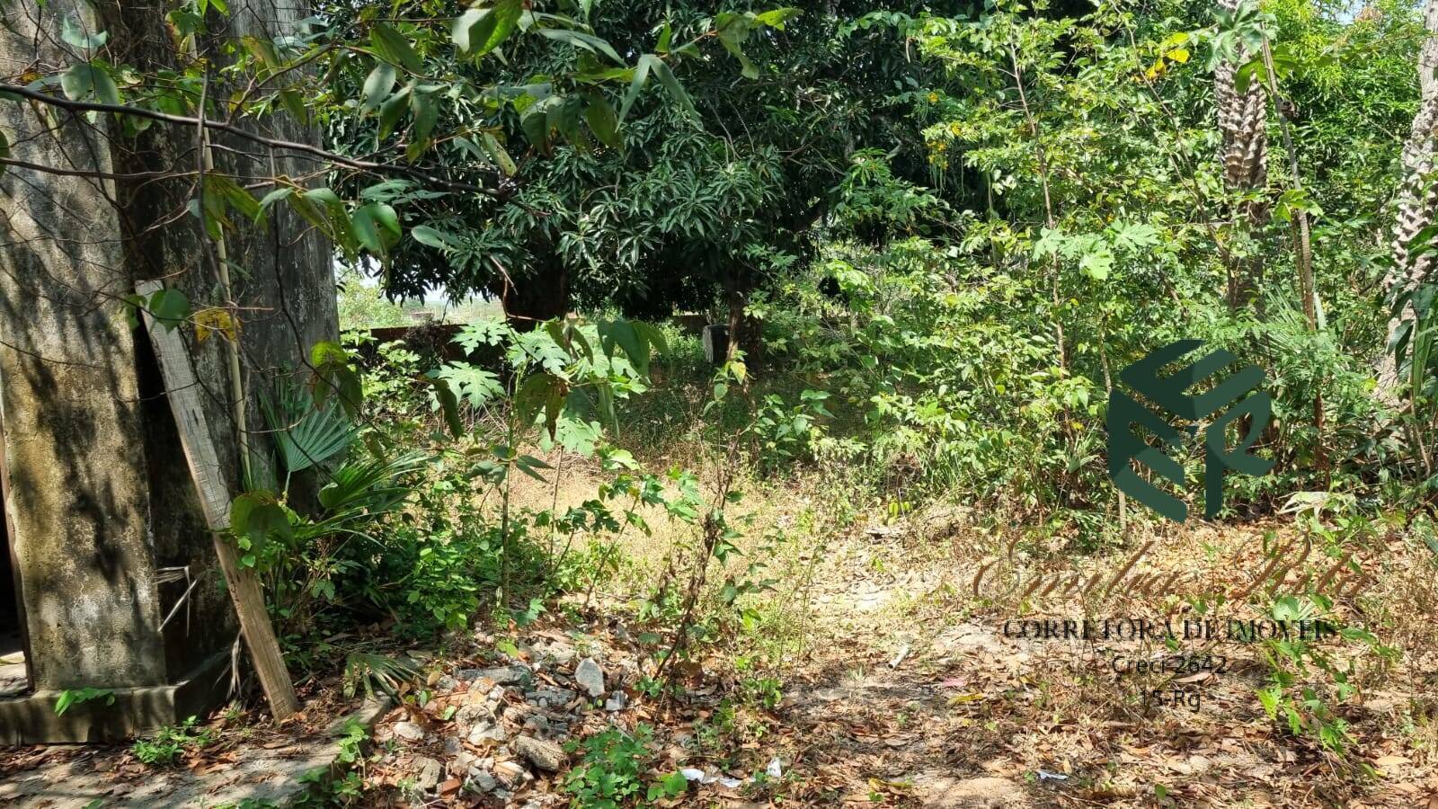 Terreno, 2 hectares - Foto 34