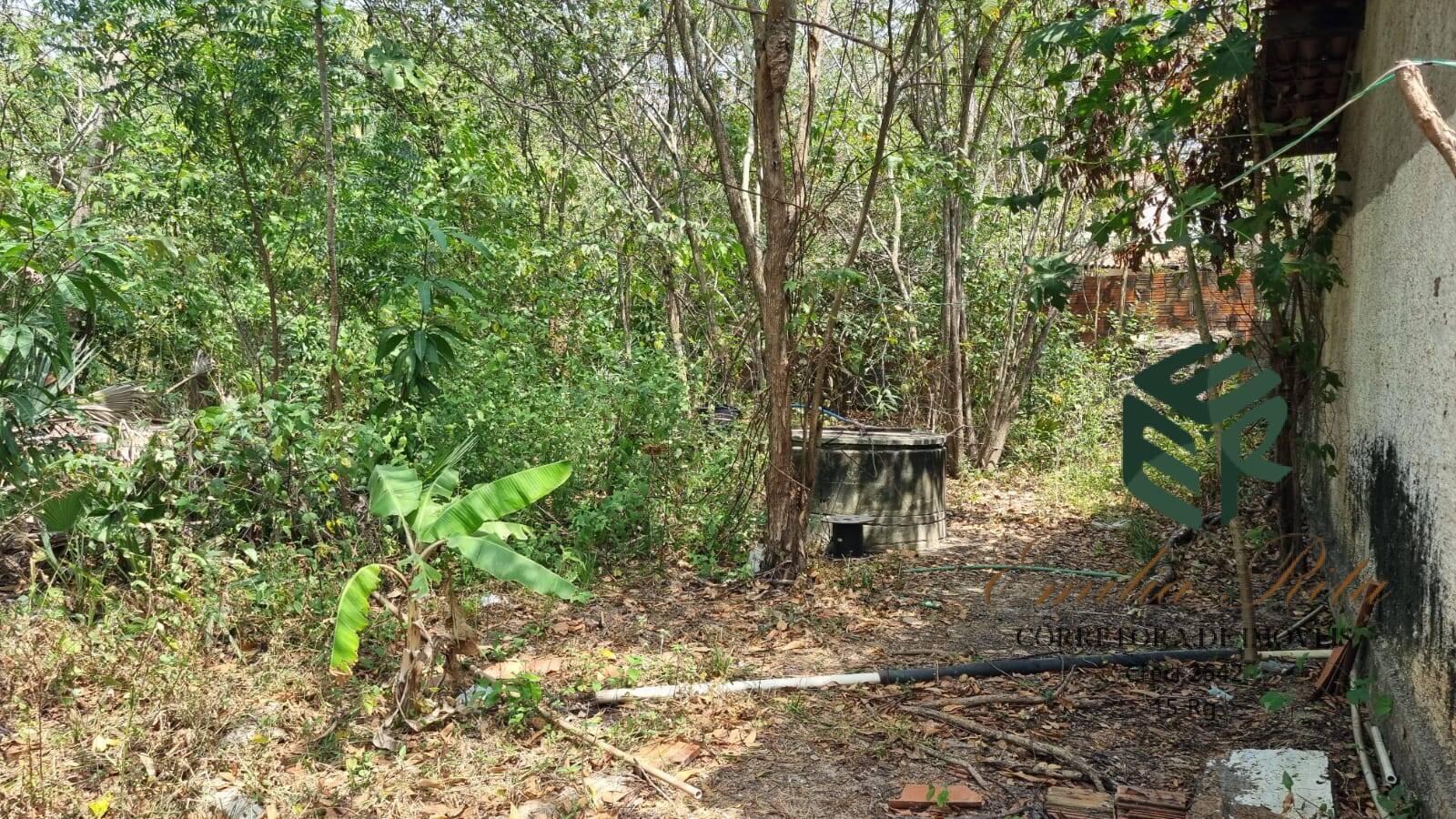 Terreno, 2 hectares - Foto 32