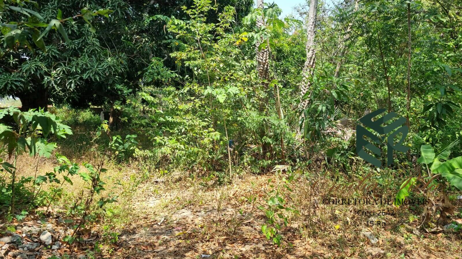 Terreno, 2 hectares - Foto 38