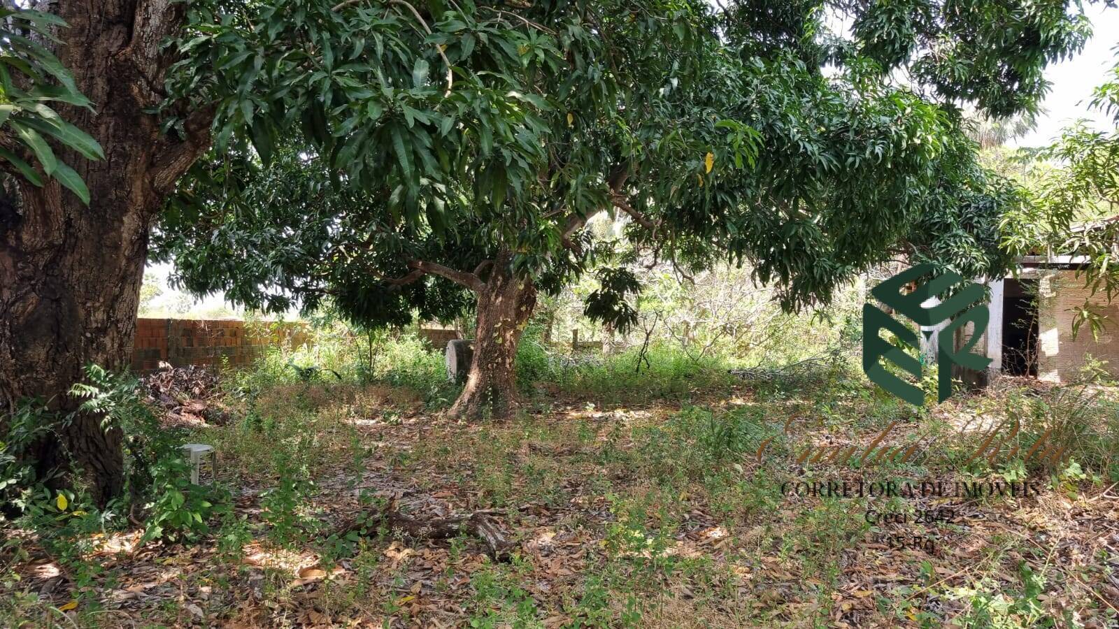 Terreno, 2 hectares - Foto 43