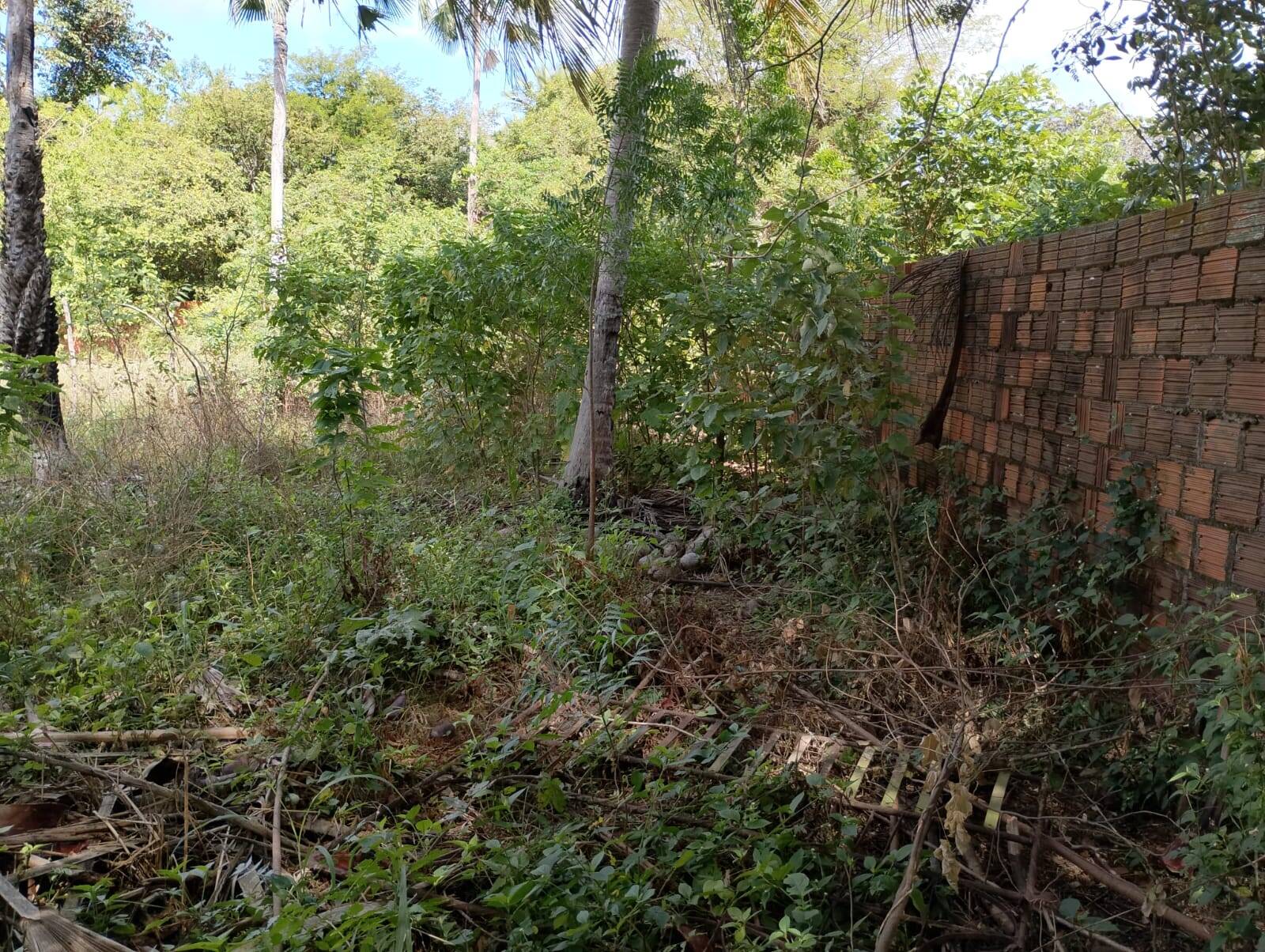 Terreno, 2880 m² - Foto 17