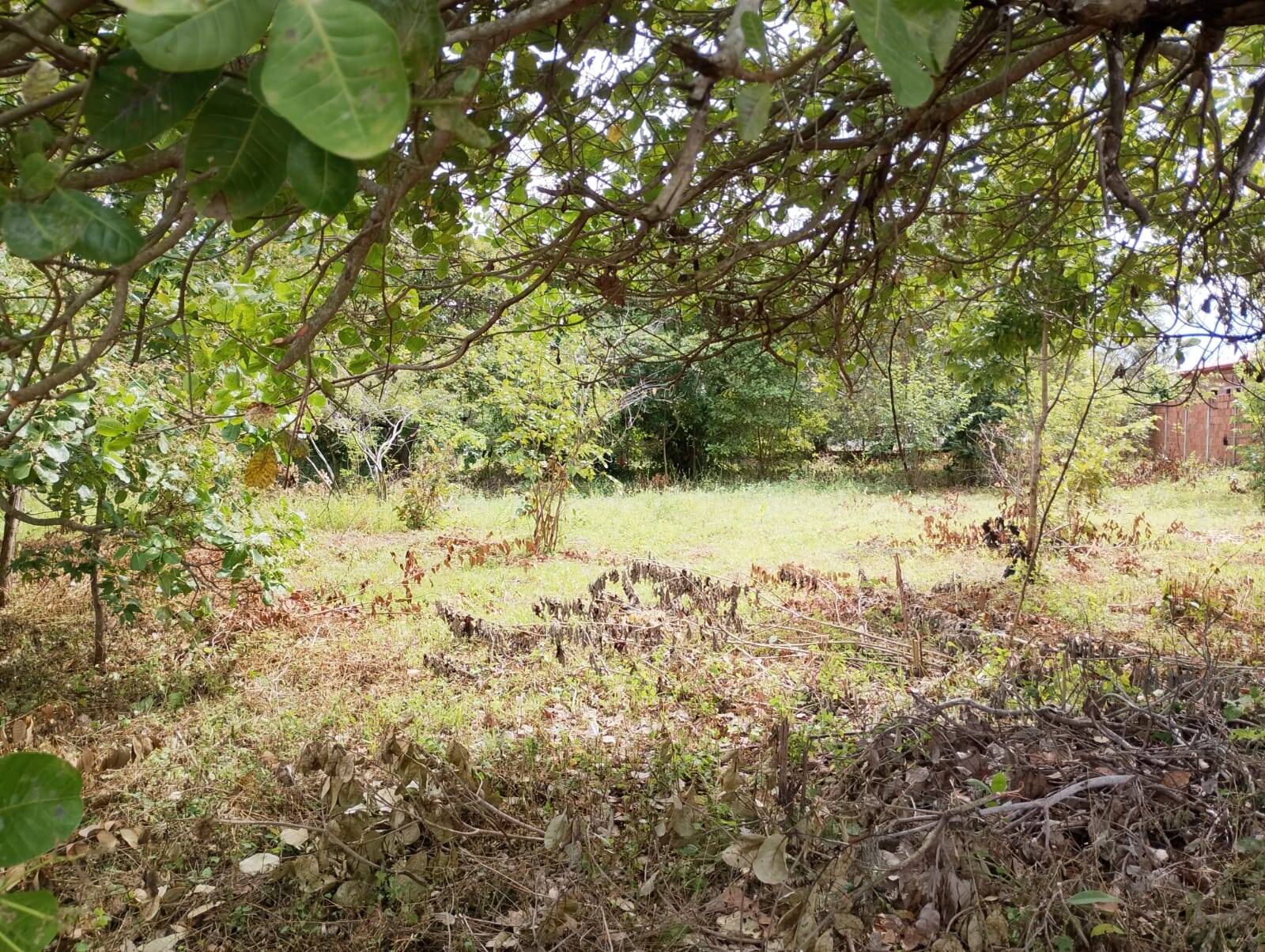 Terreno, 2880 m² - Foto 1