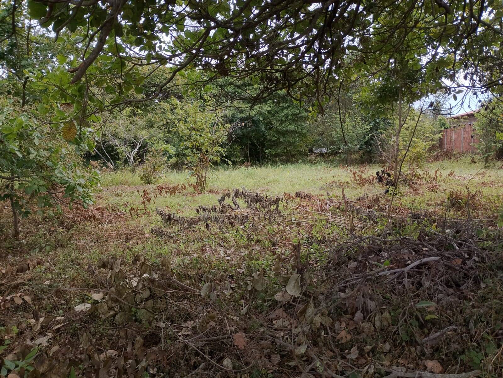 Terreno, 2880 m² - Foto 18