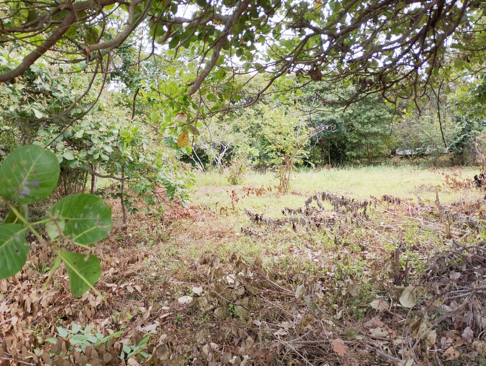 Terreno, 2880 m² - Foto 19