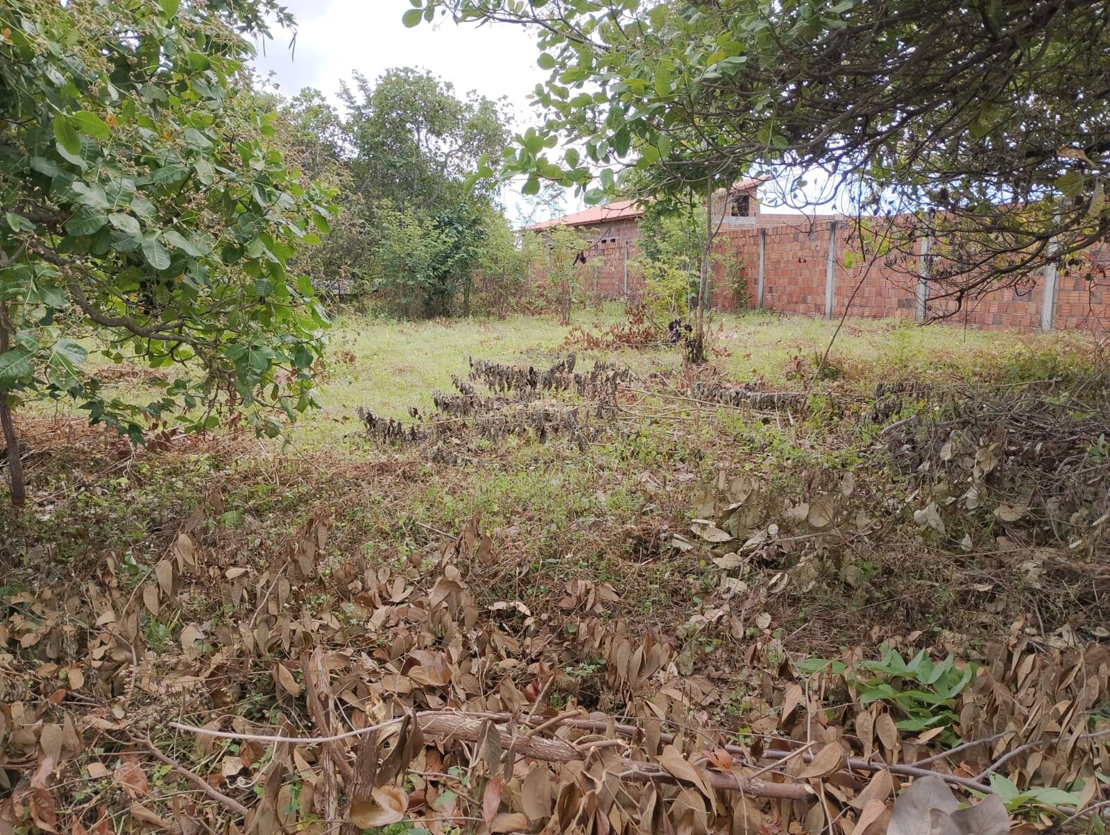 Terreno, 2880 m² - Foto 2