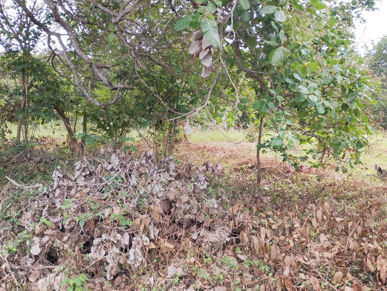 Terreno, 2880 m² - Foto 22