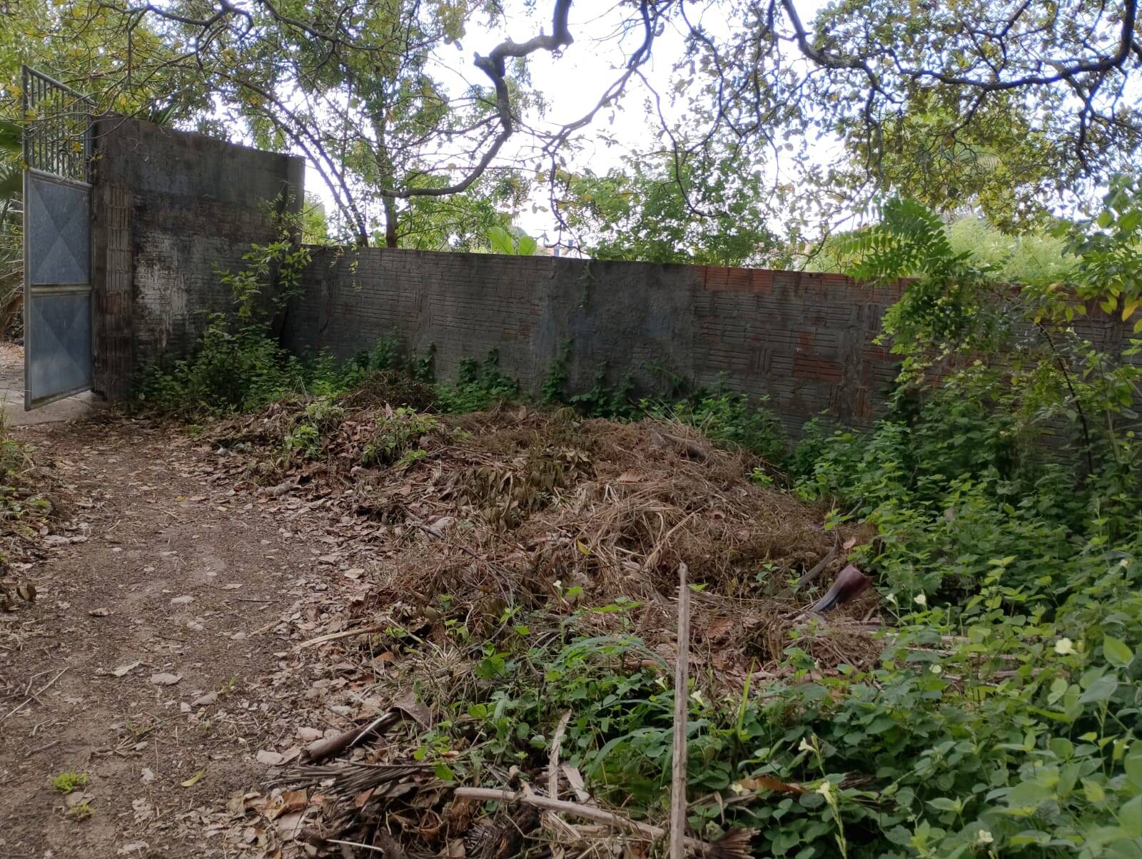 Terreno, 4650 m² - Foto 34