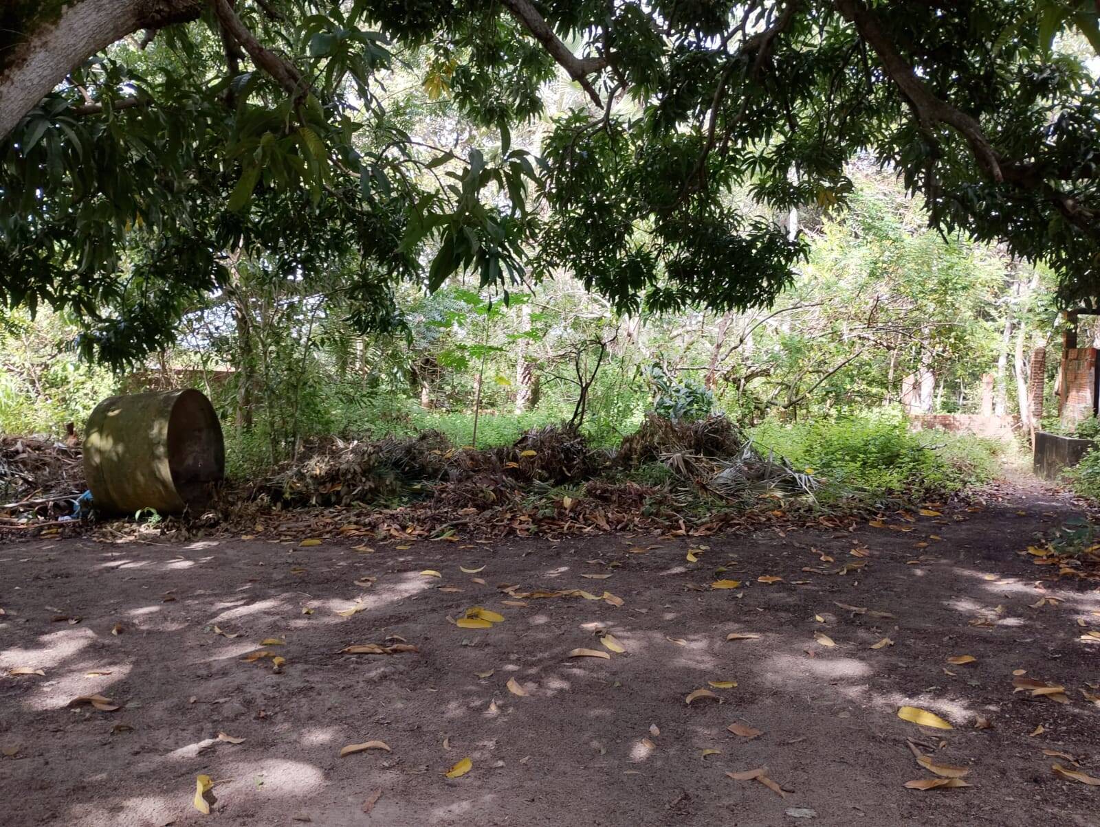 Terreno, 4650 m² - Foto 35