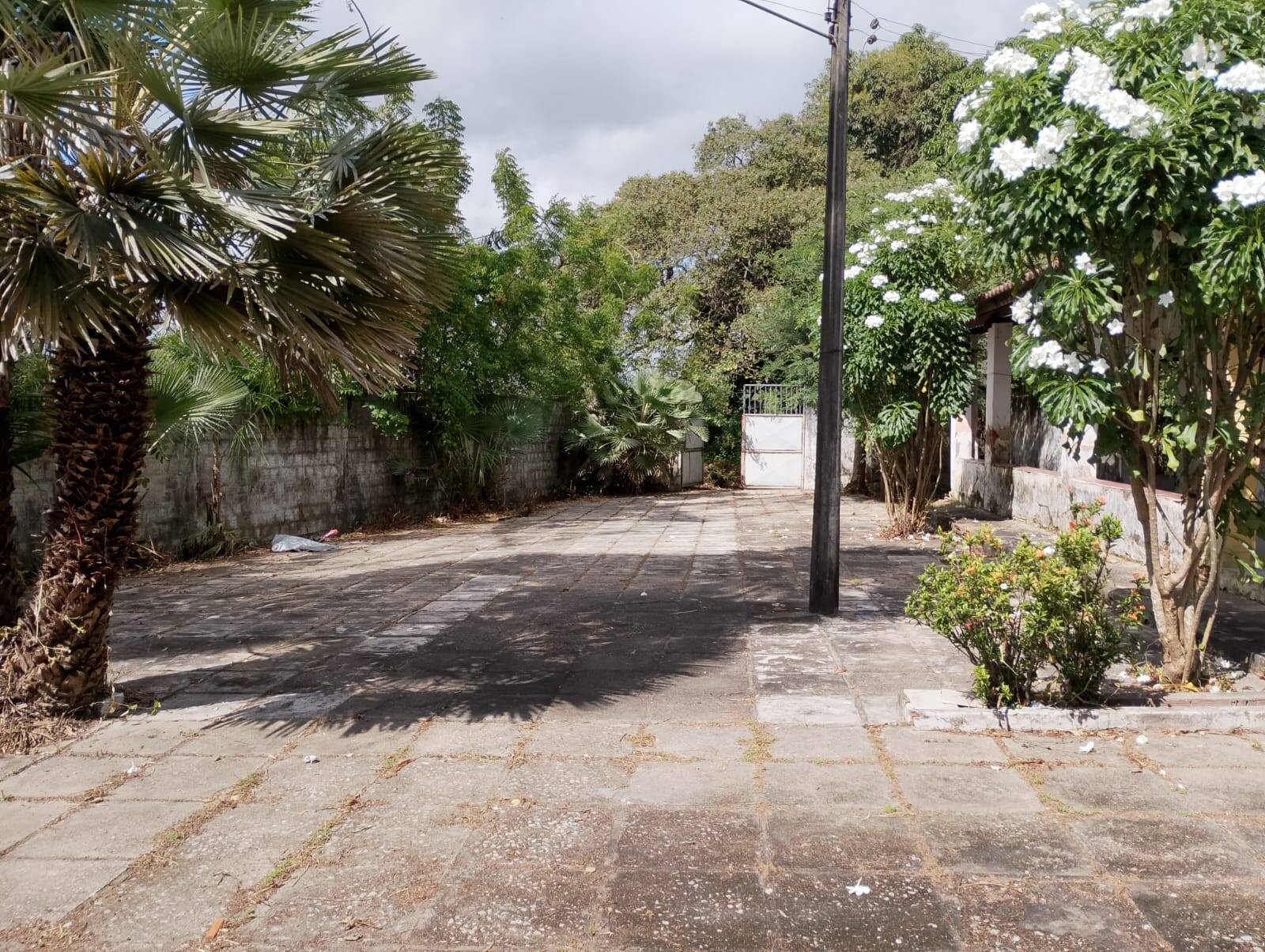 Terreno, 4650 m² - Foto 38