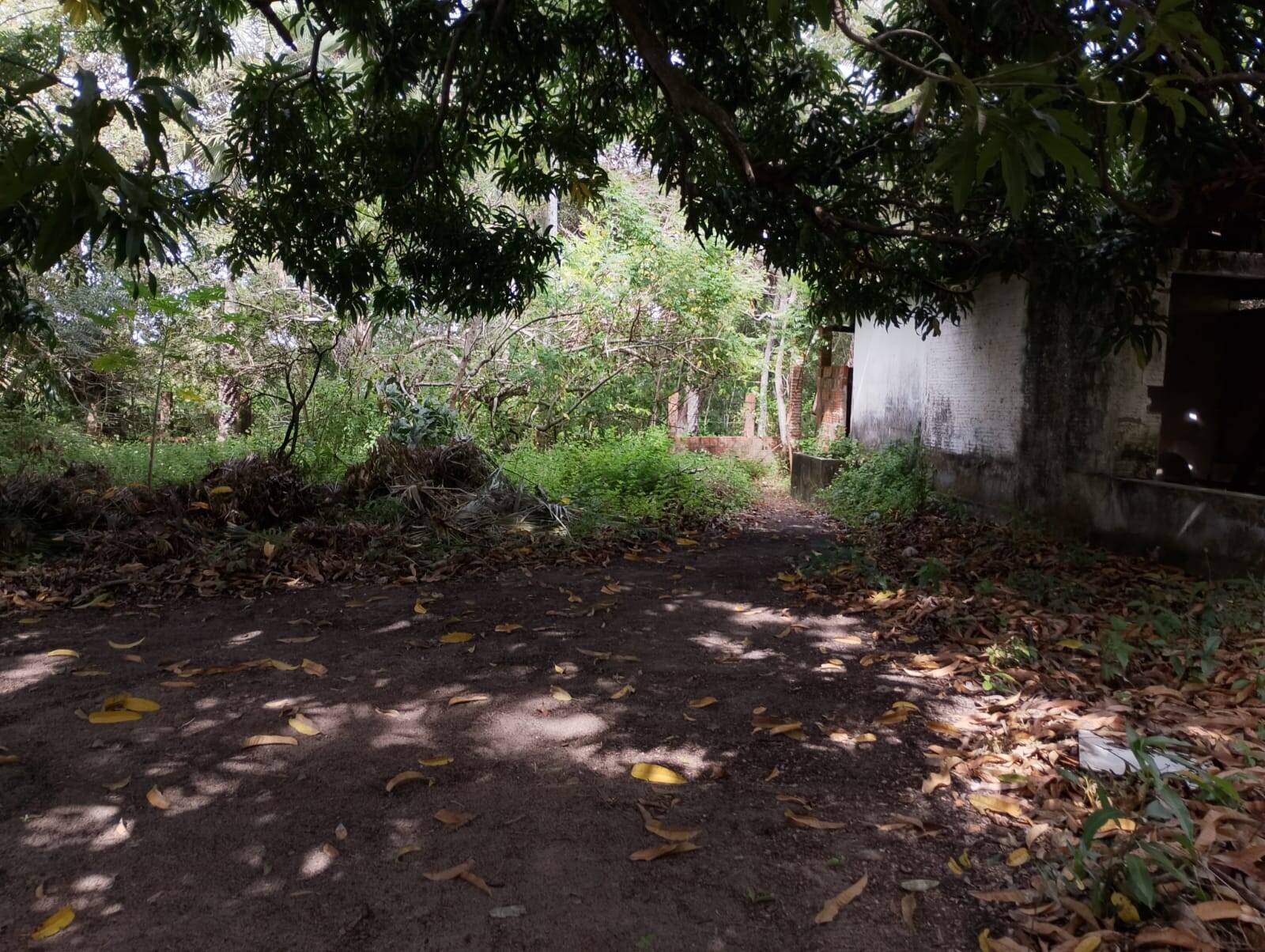 Terreno, 4650 m² - Foto 36