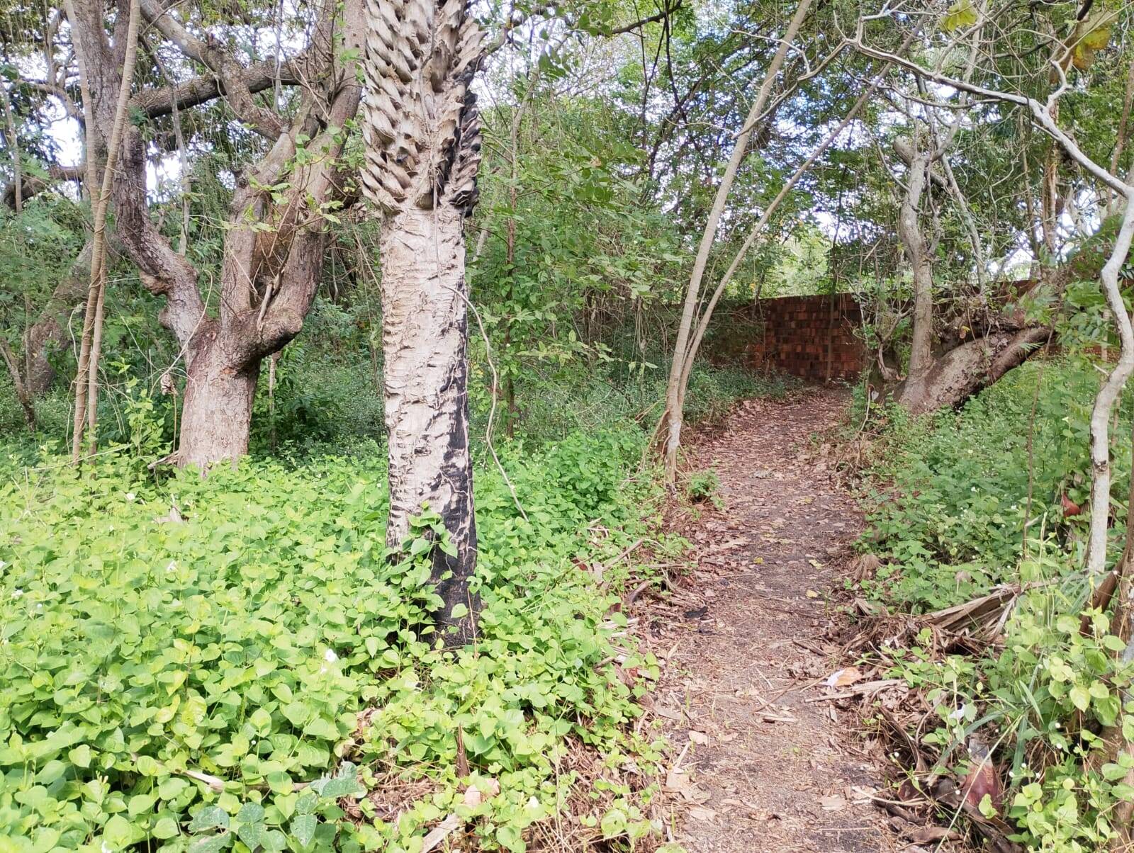 Terreno, 4650 m² - Foto 37