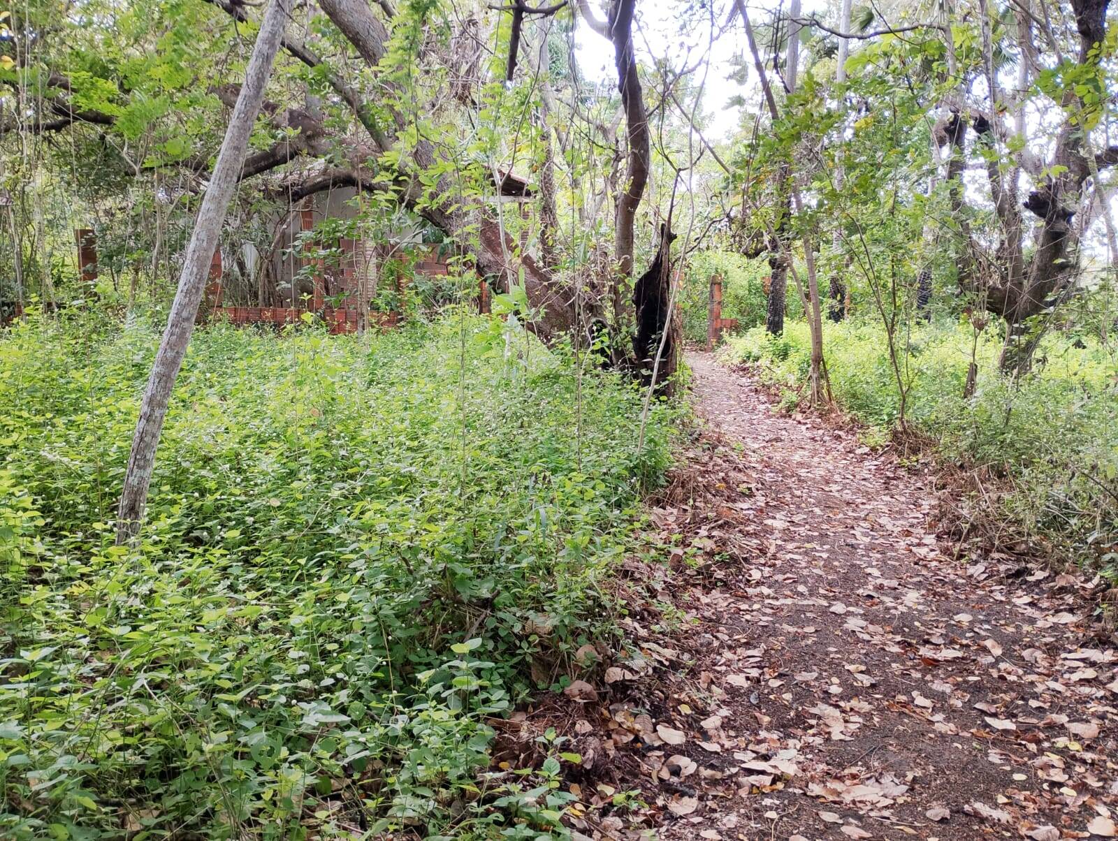 Terreno, 4650 m² - Foto 40