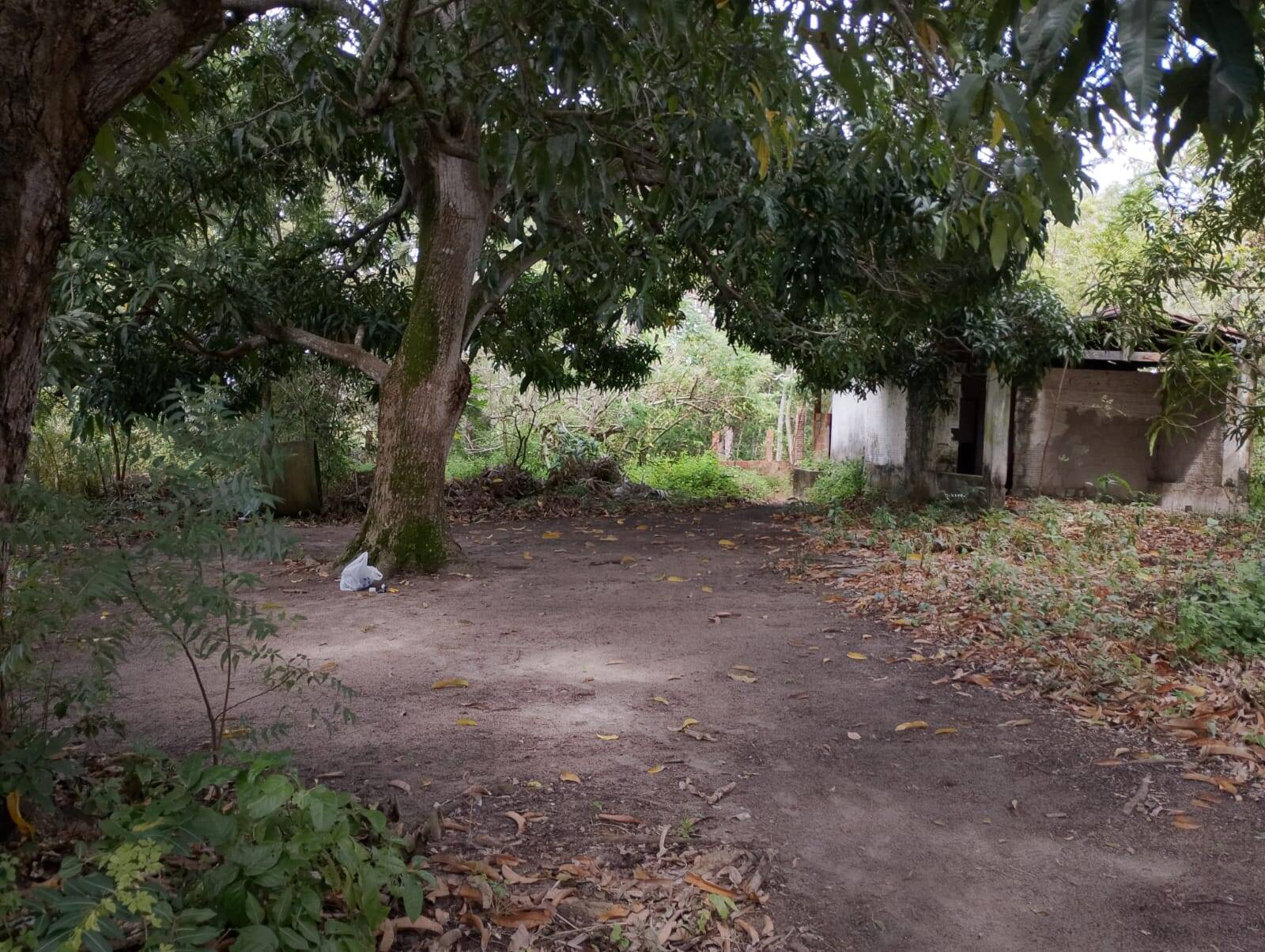 Terreno, 4650 m² - Foto 44