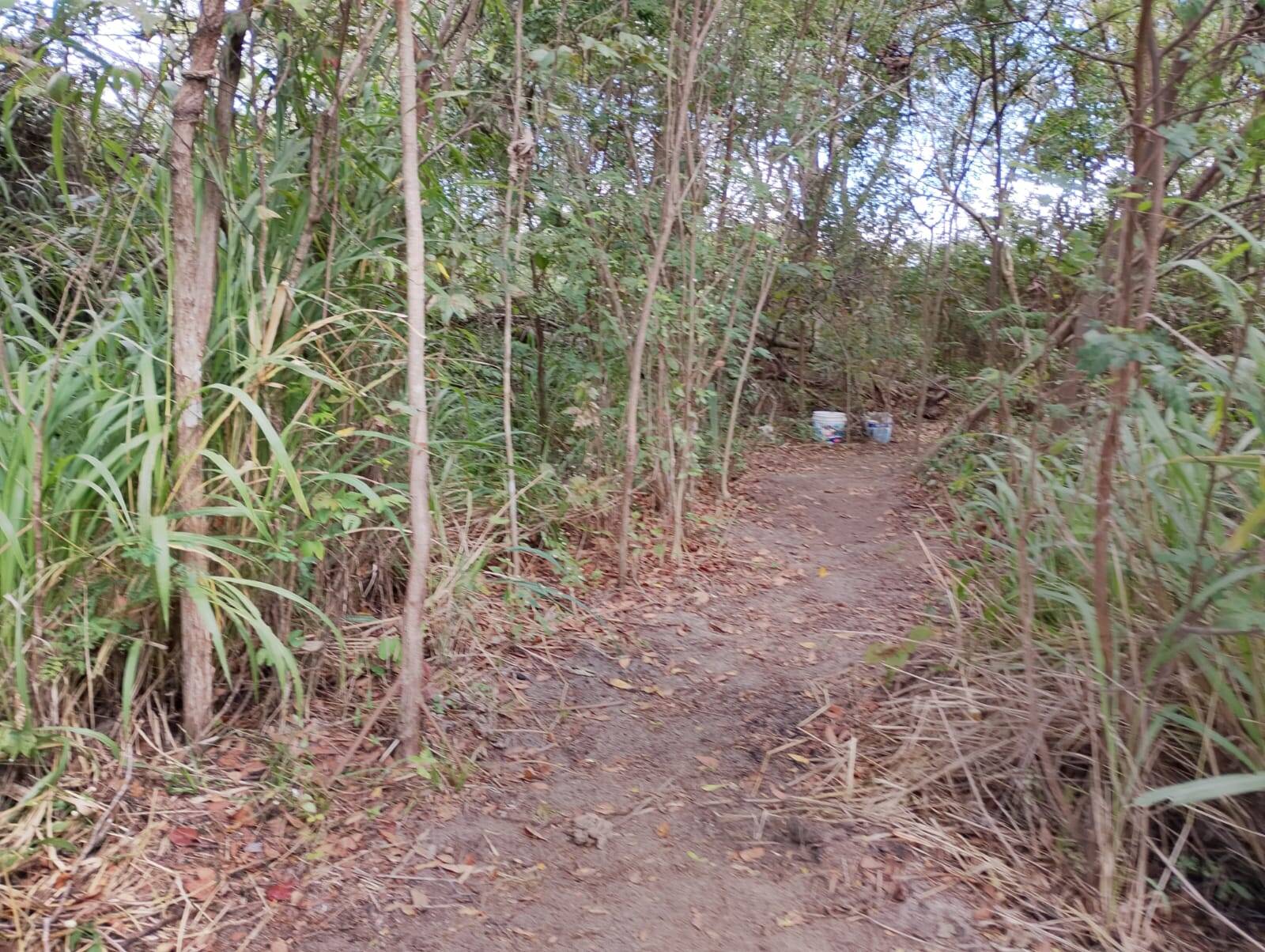 Terreno, 4650 m² - Foto 48